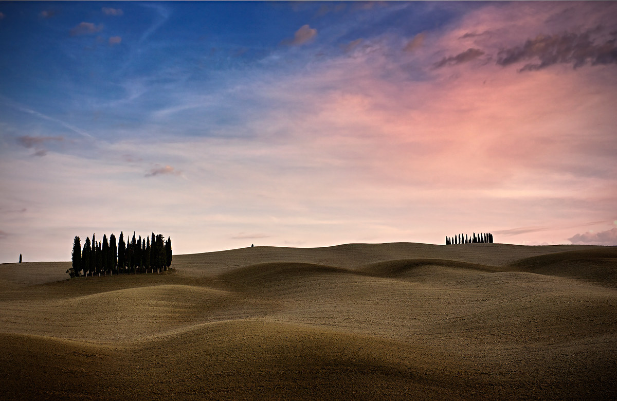 Cipressi di San Quirico d'Orcia