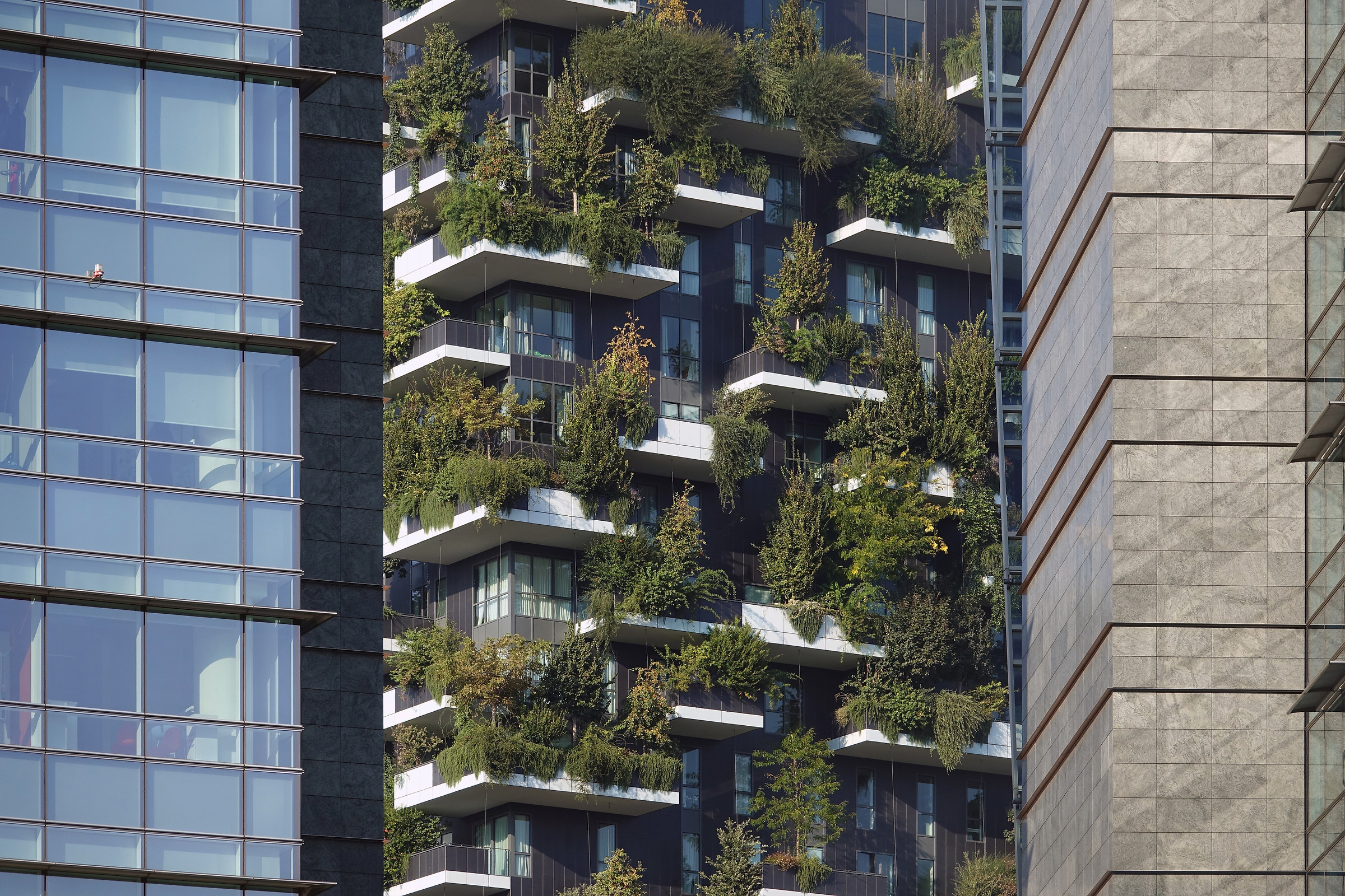 A little 'green between concrete and glass