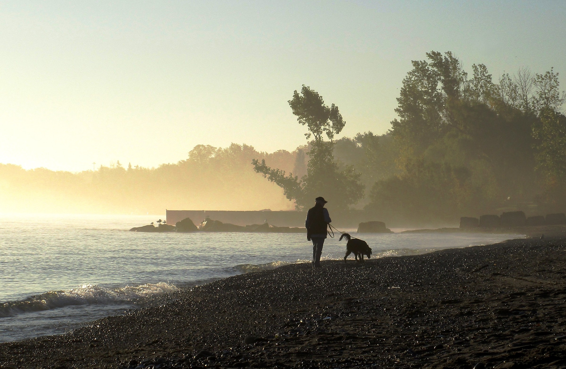 Foggy Morning Glow. Random Strangers.