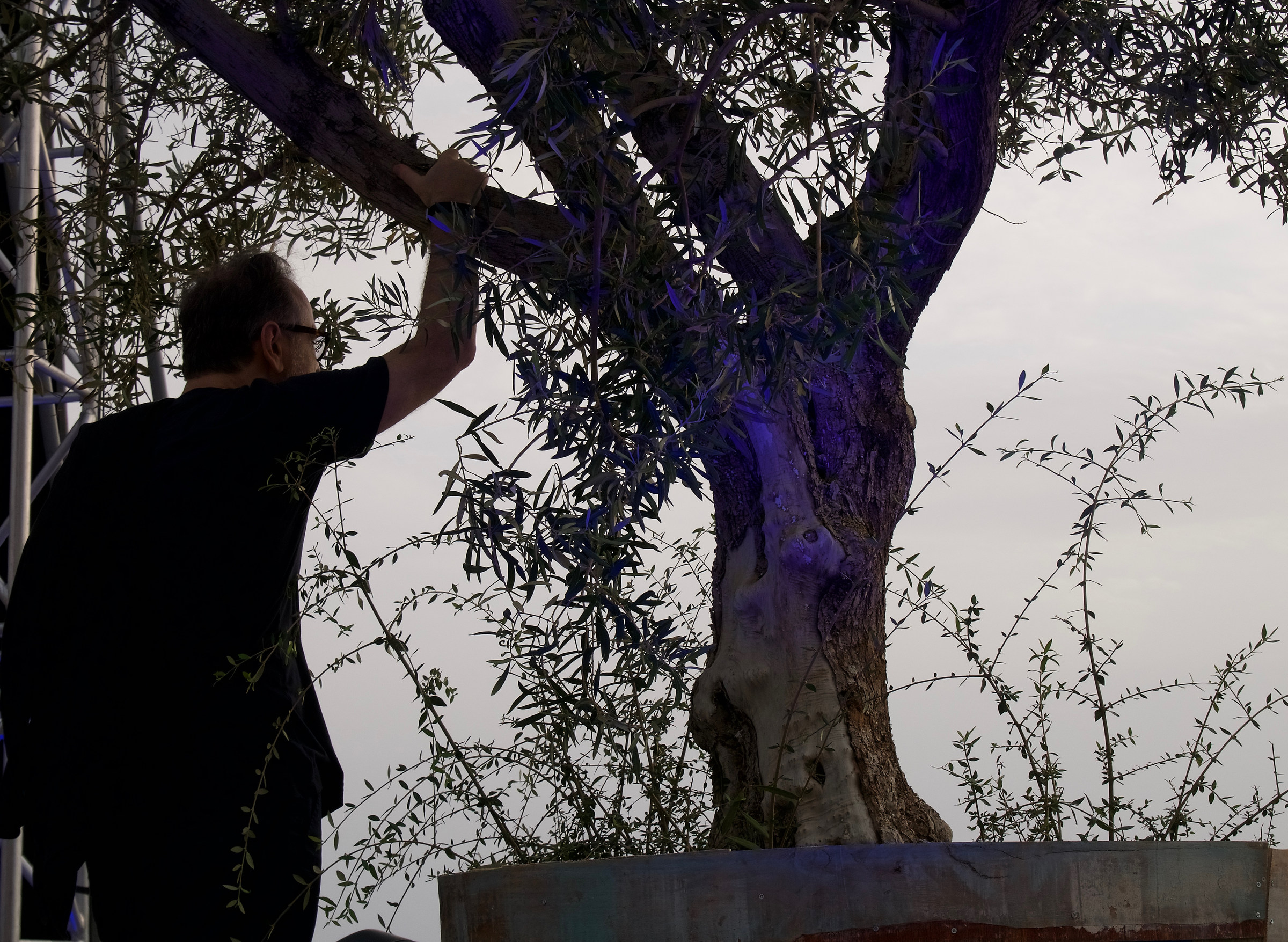 Massimo Popolizio e l'orizzonte dell'isola
