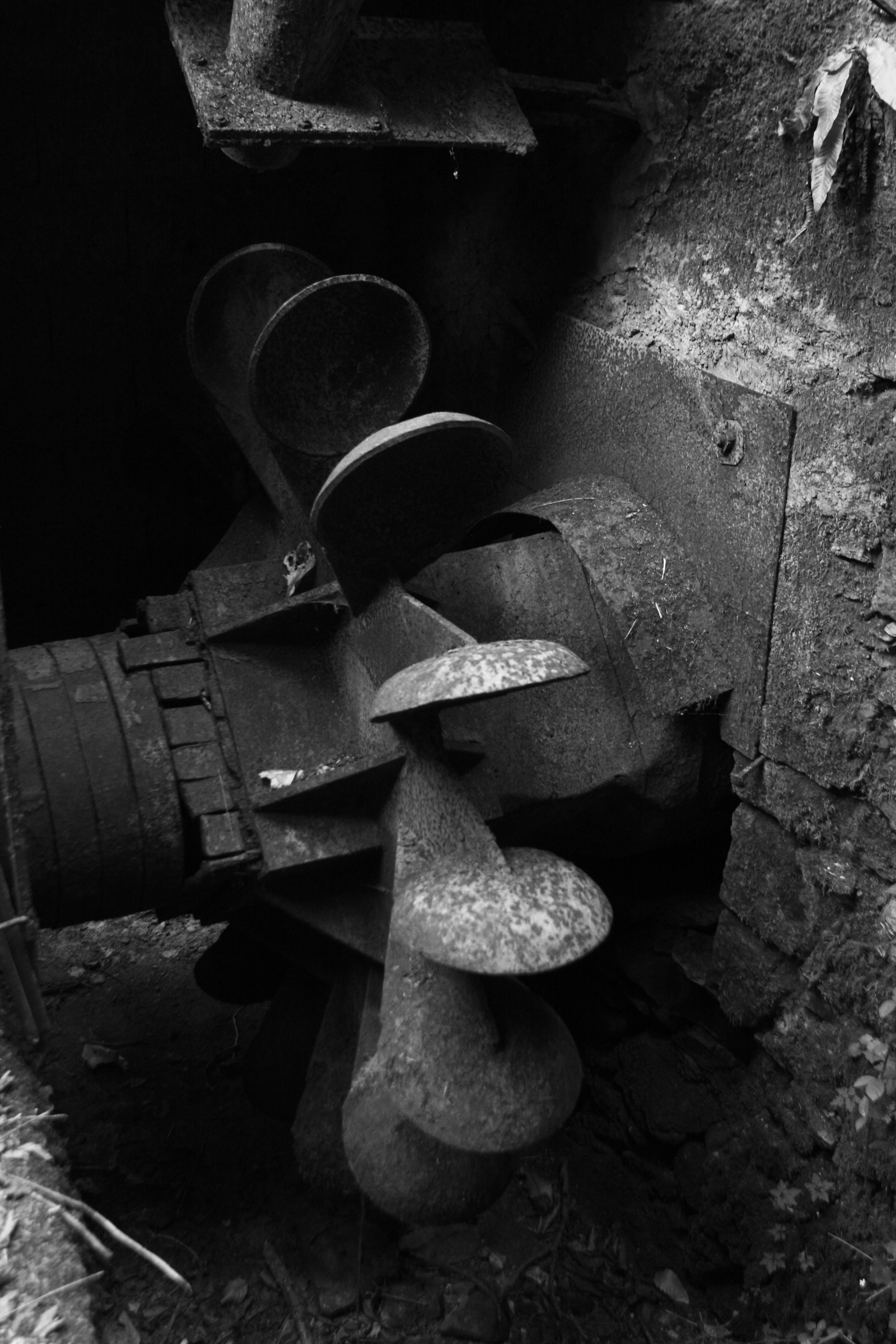 L Ferriera Gragliana