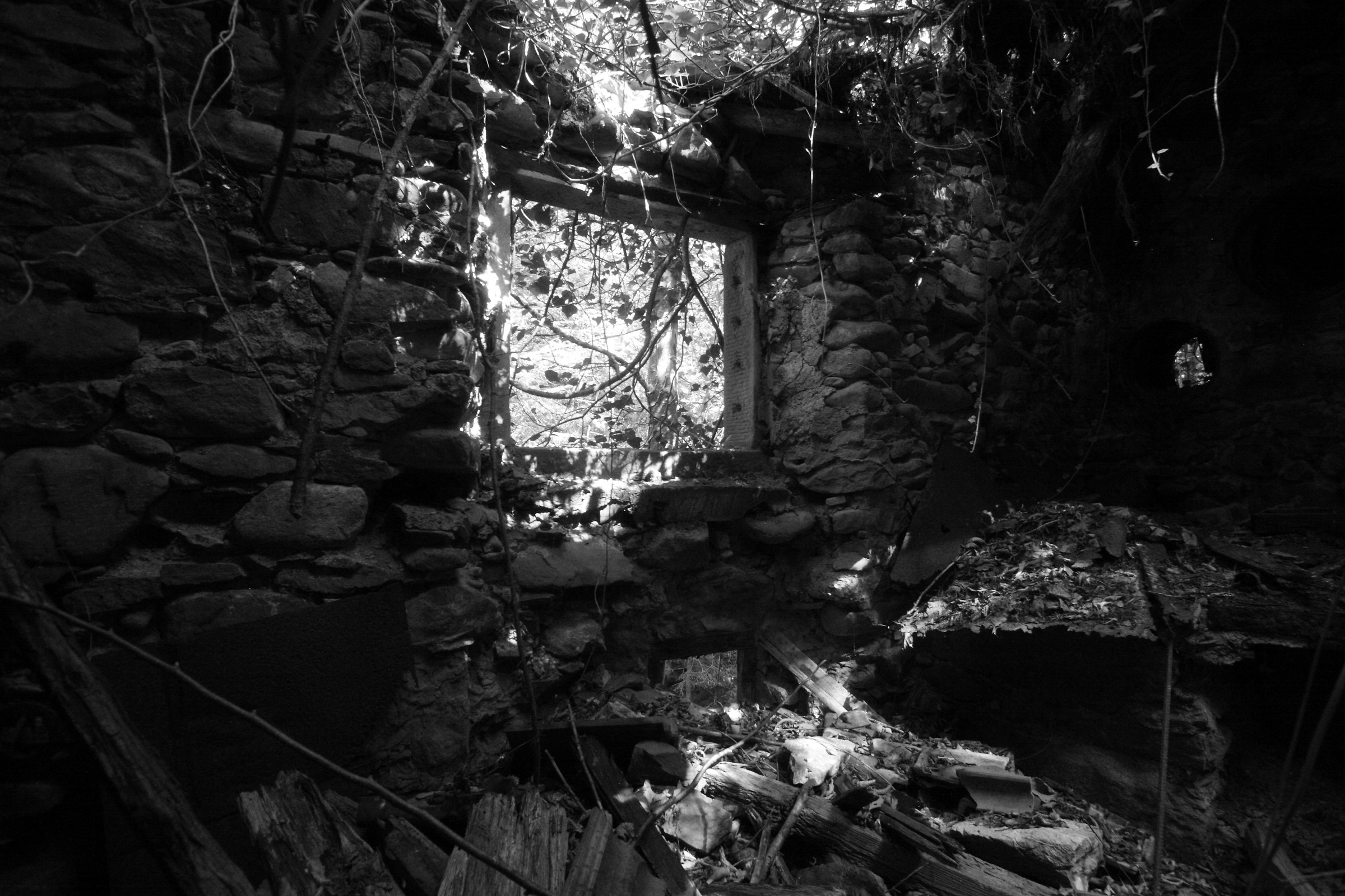 particularly the building now collapsed