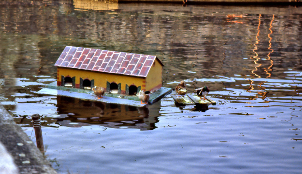 Little house on August