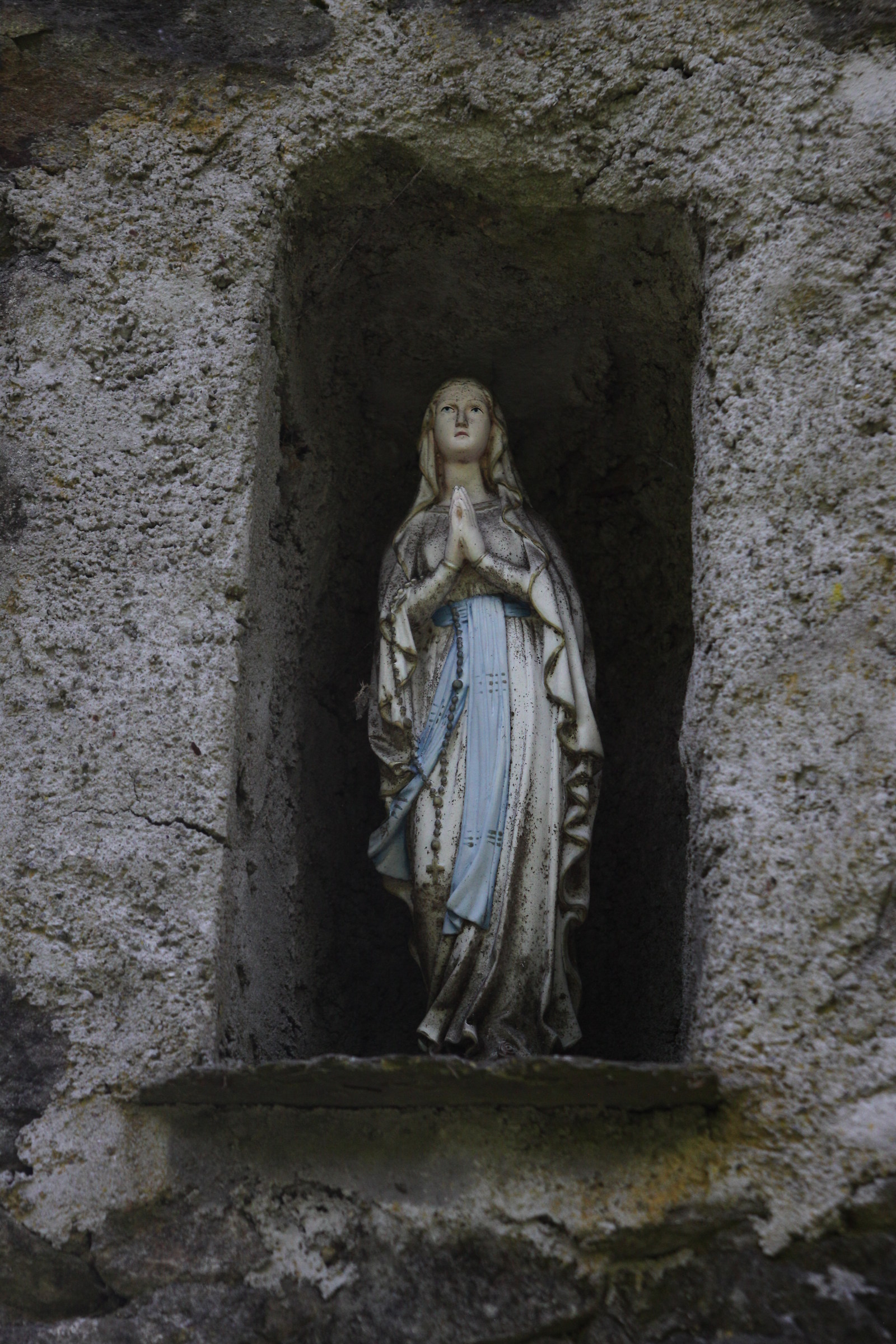 The Ferrierea of ??Graliana