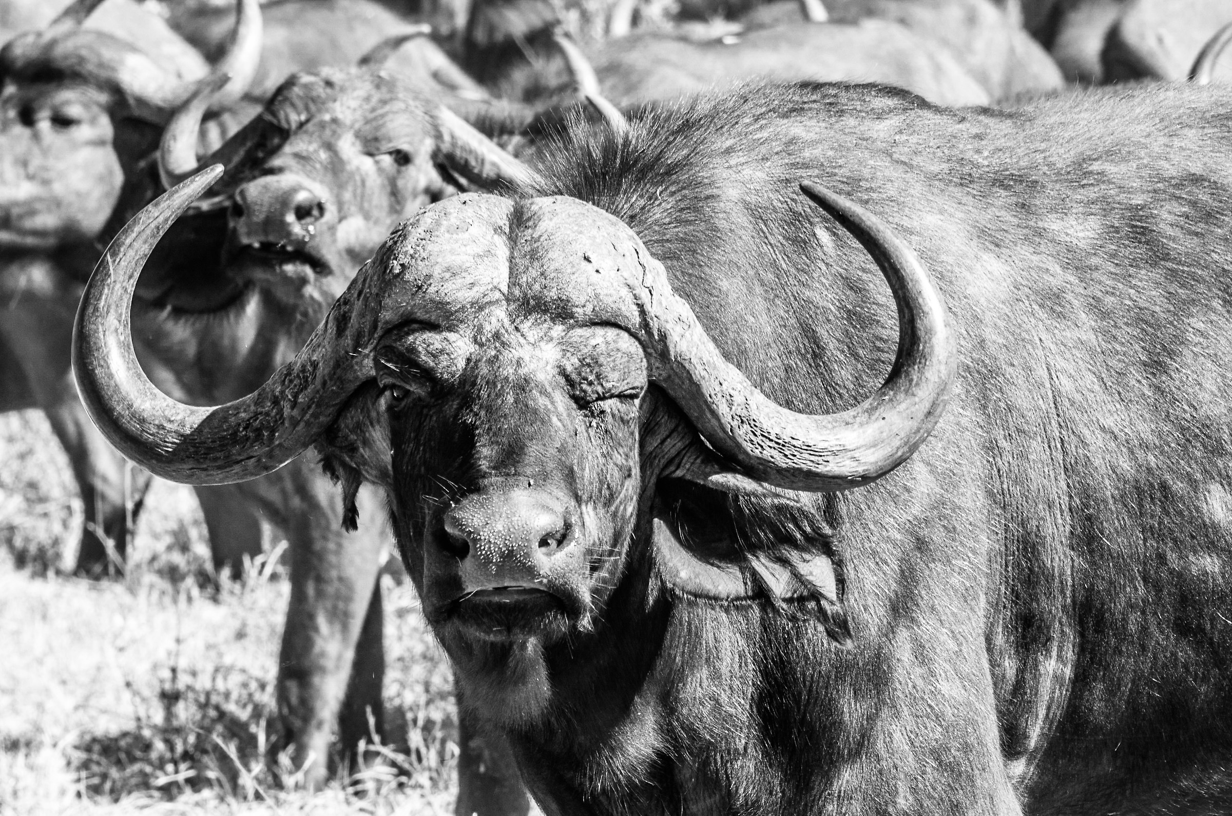 We understood each other...