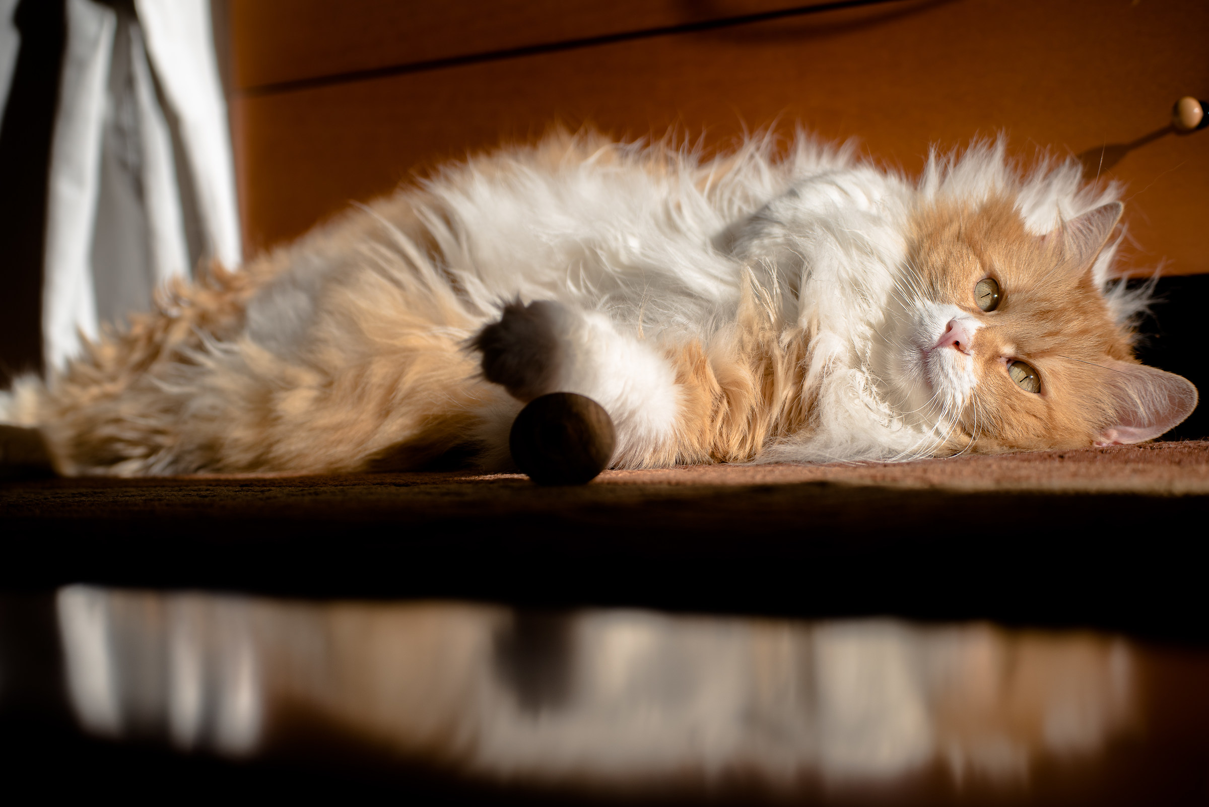 don't touch my trottola