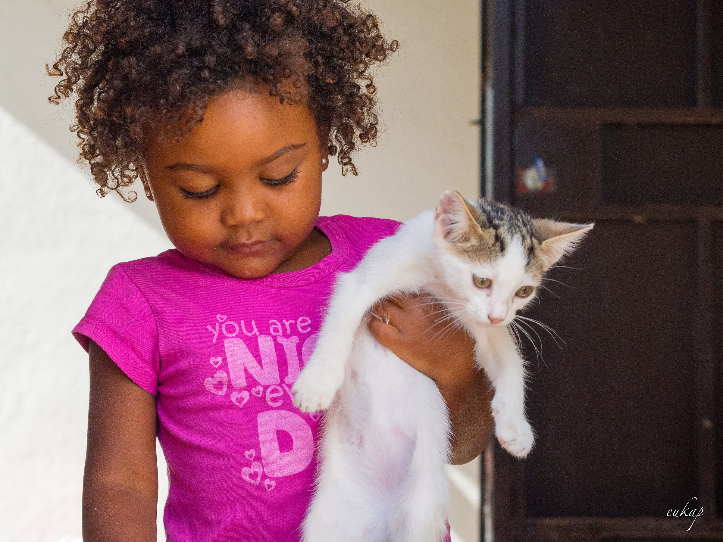 The cat and the little girl