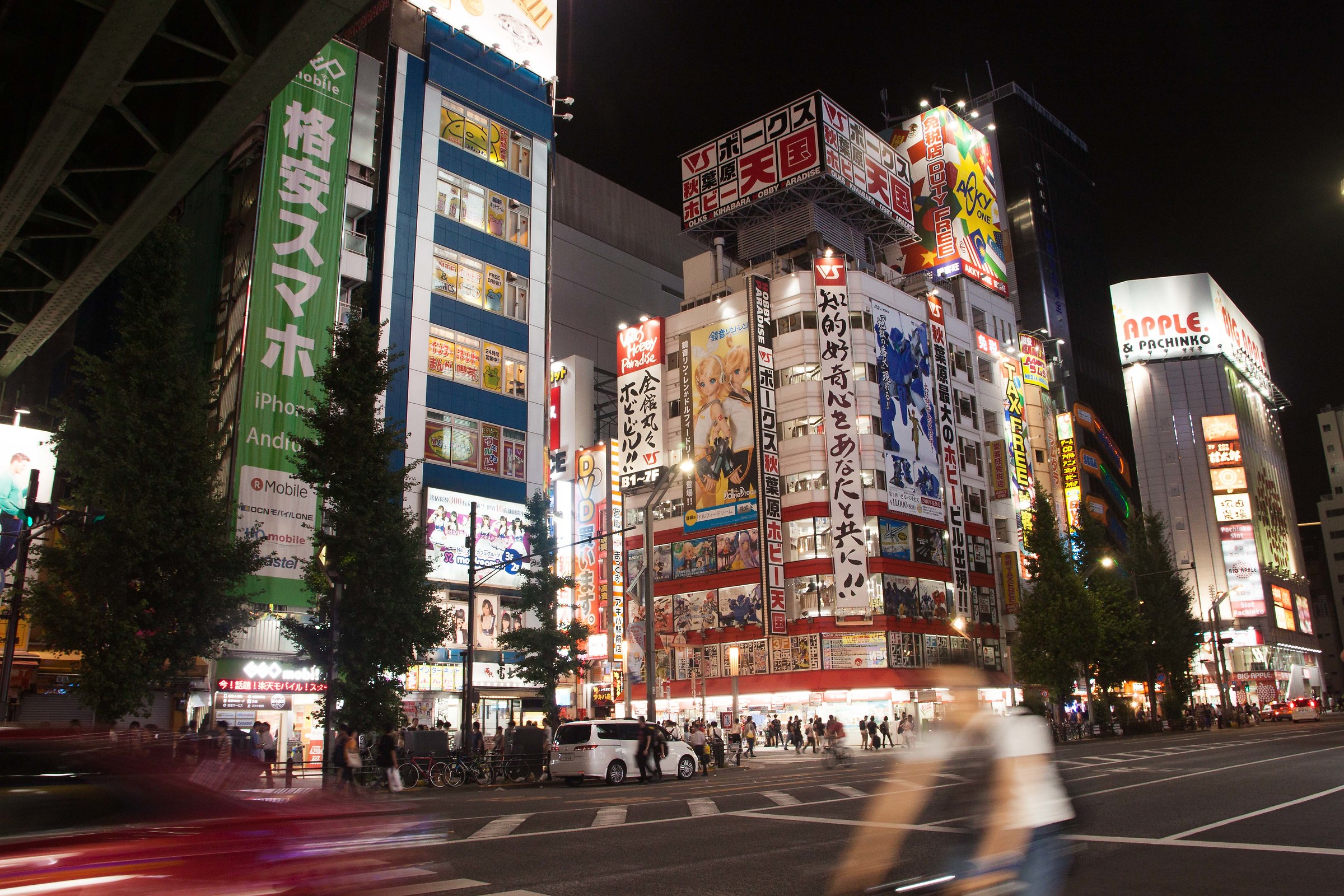 Akihabara Night