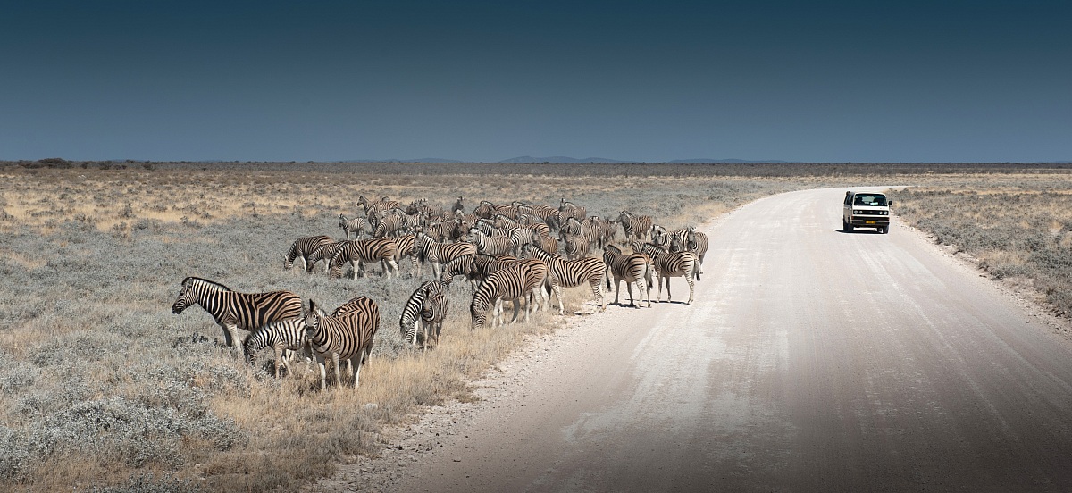Namibia, Etosha Park
