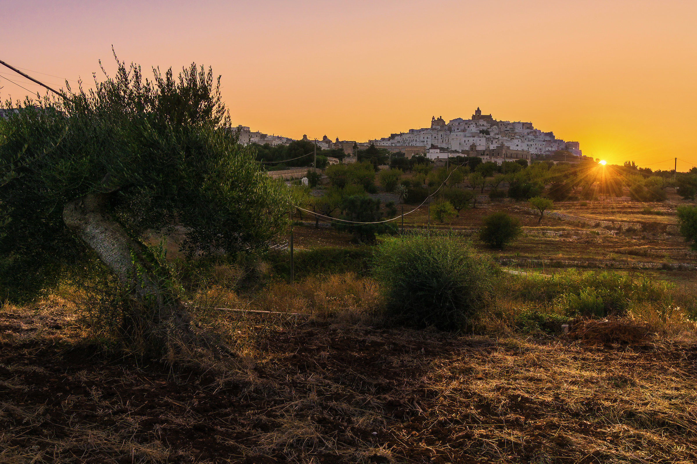 Ostuni
