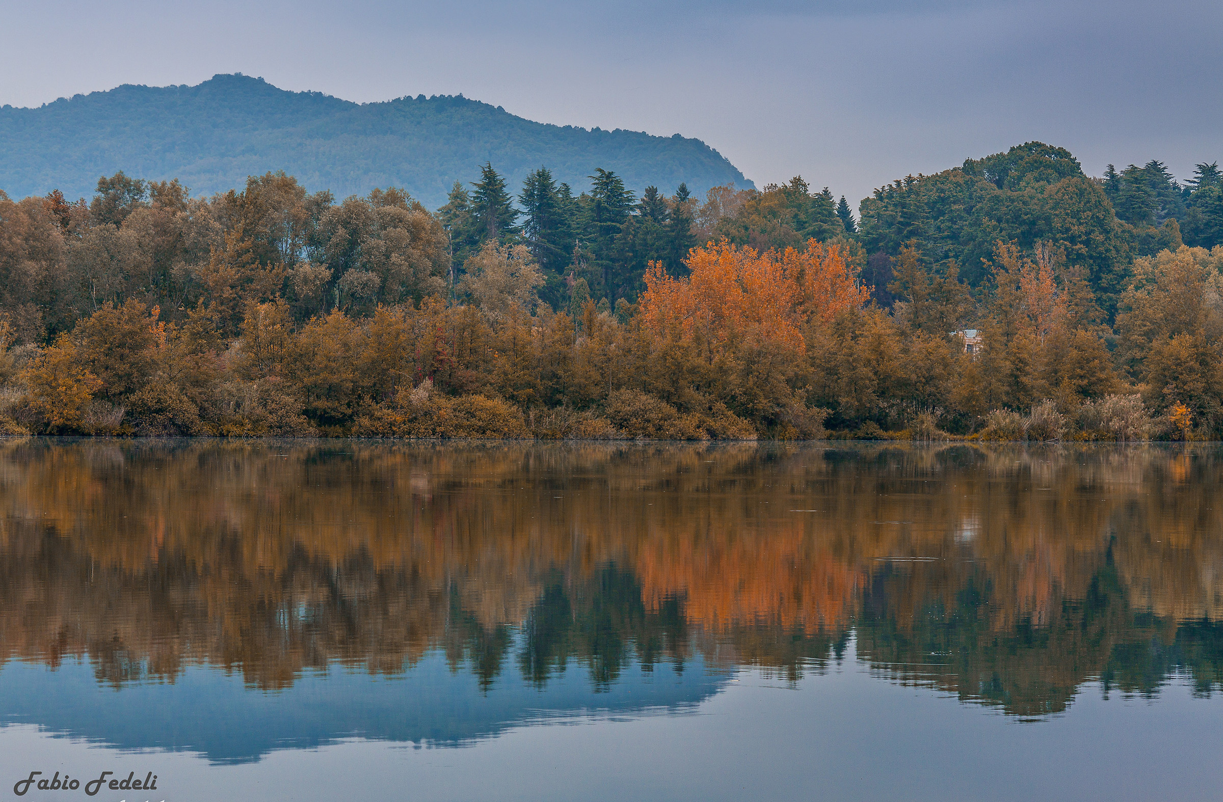 Afternoon reflections