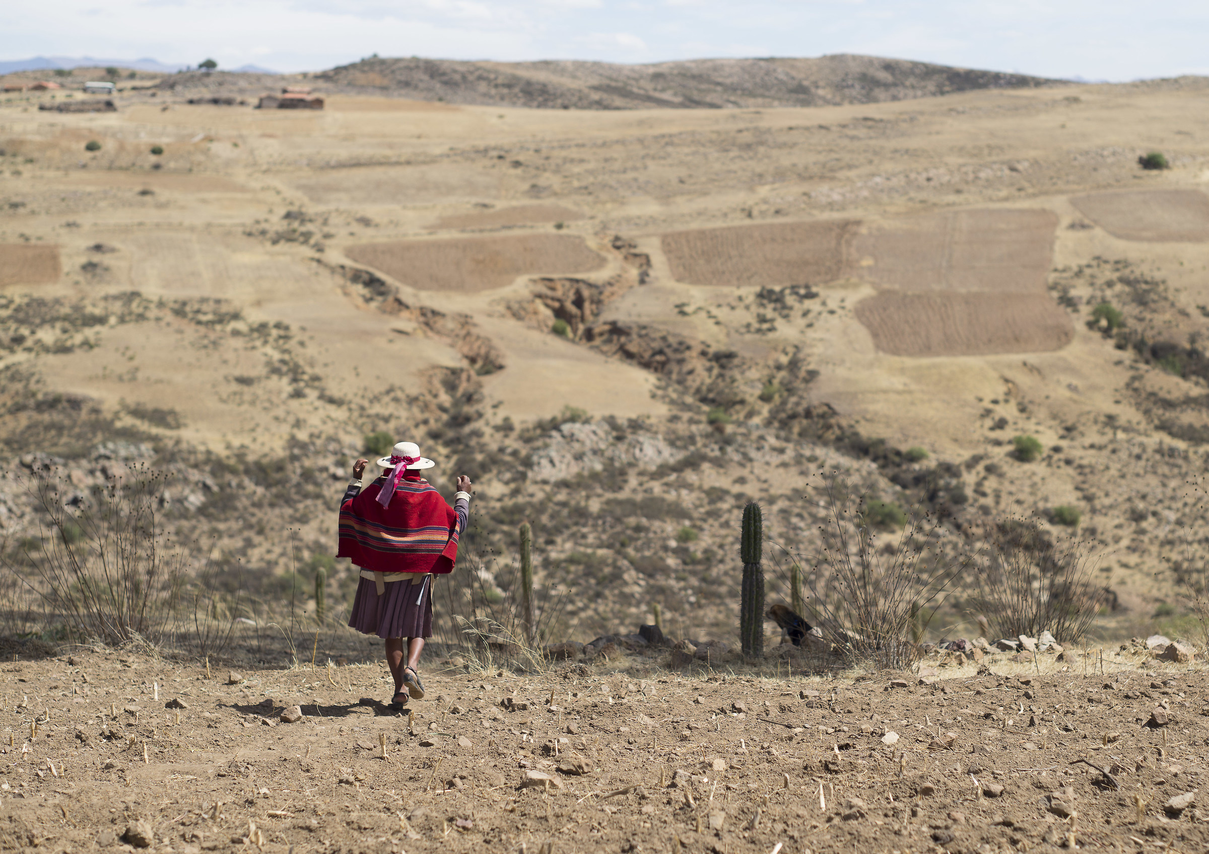 "The maiden comes from the country ....."