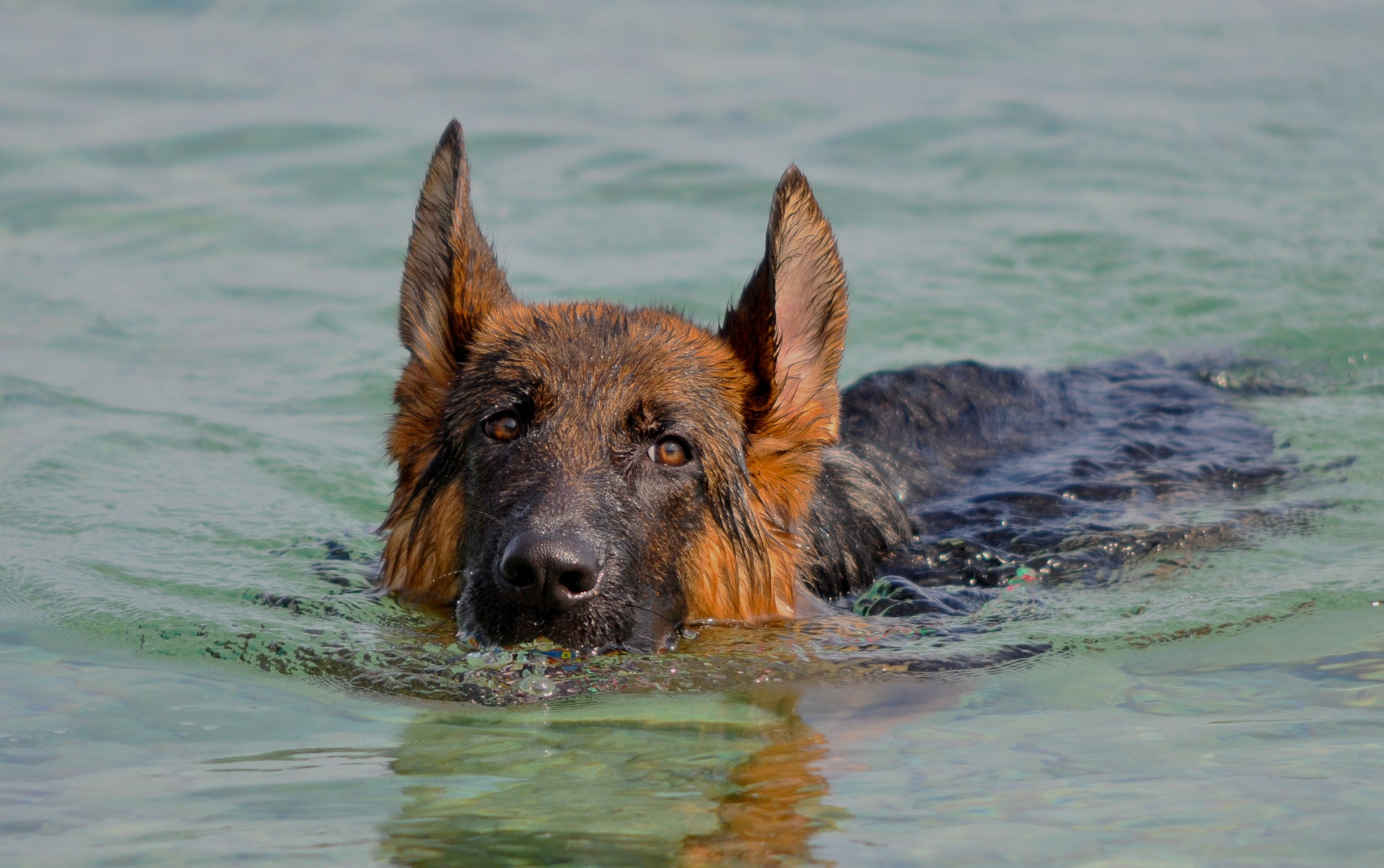 Irock von Suentelstein