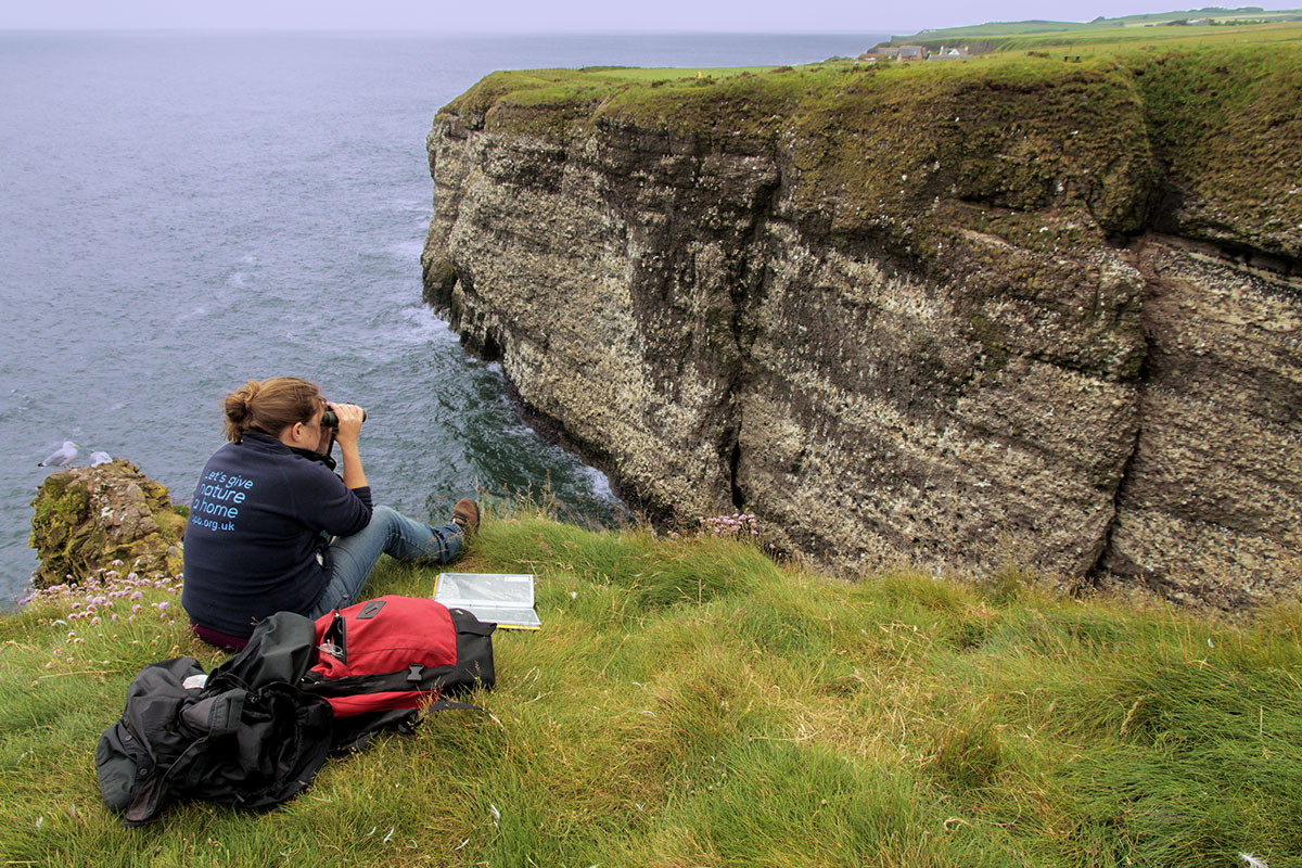 Birdwhathing in action