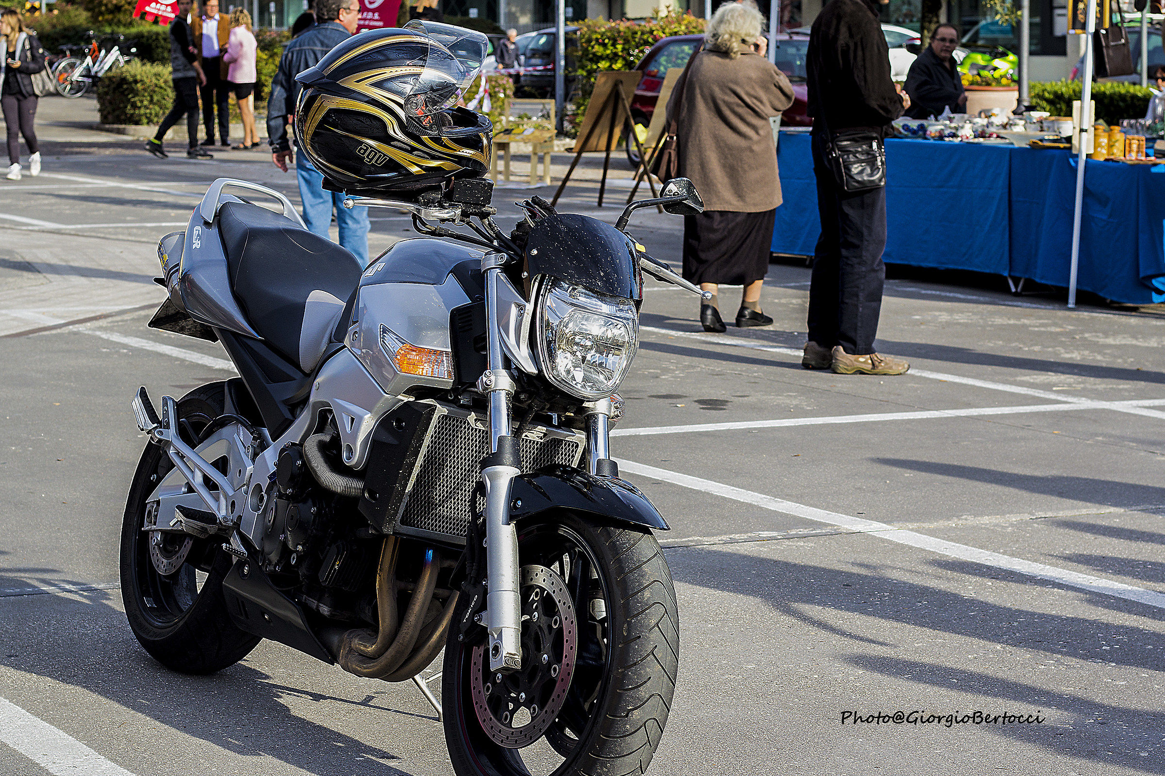 Feast of Gonars swallows (ud) Sunday, 9/10/2016