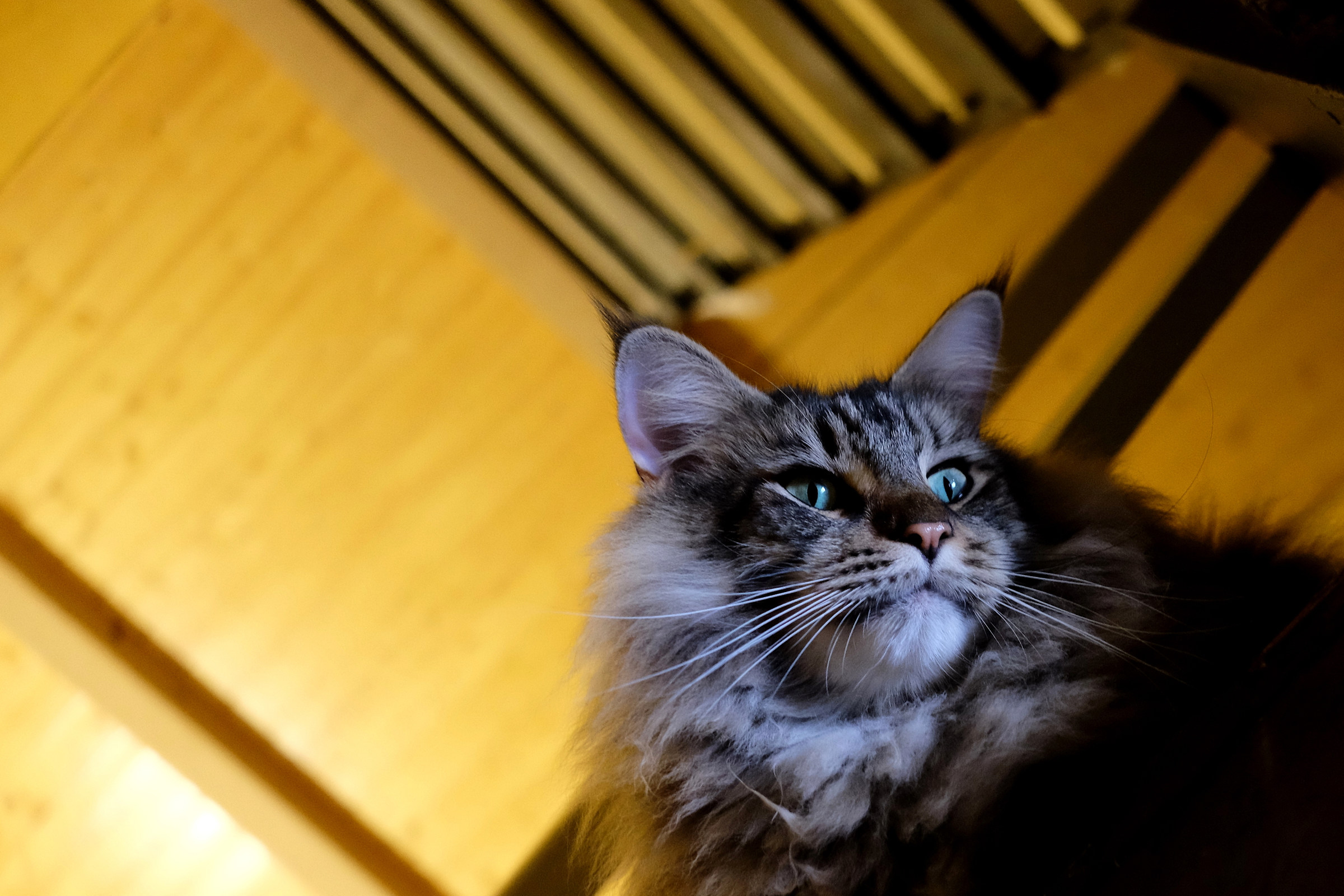 Dall'alto controllo tutto