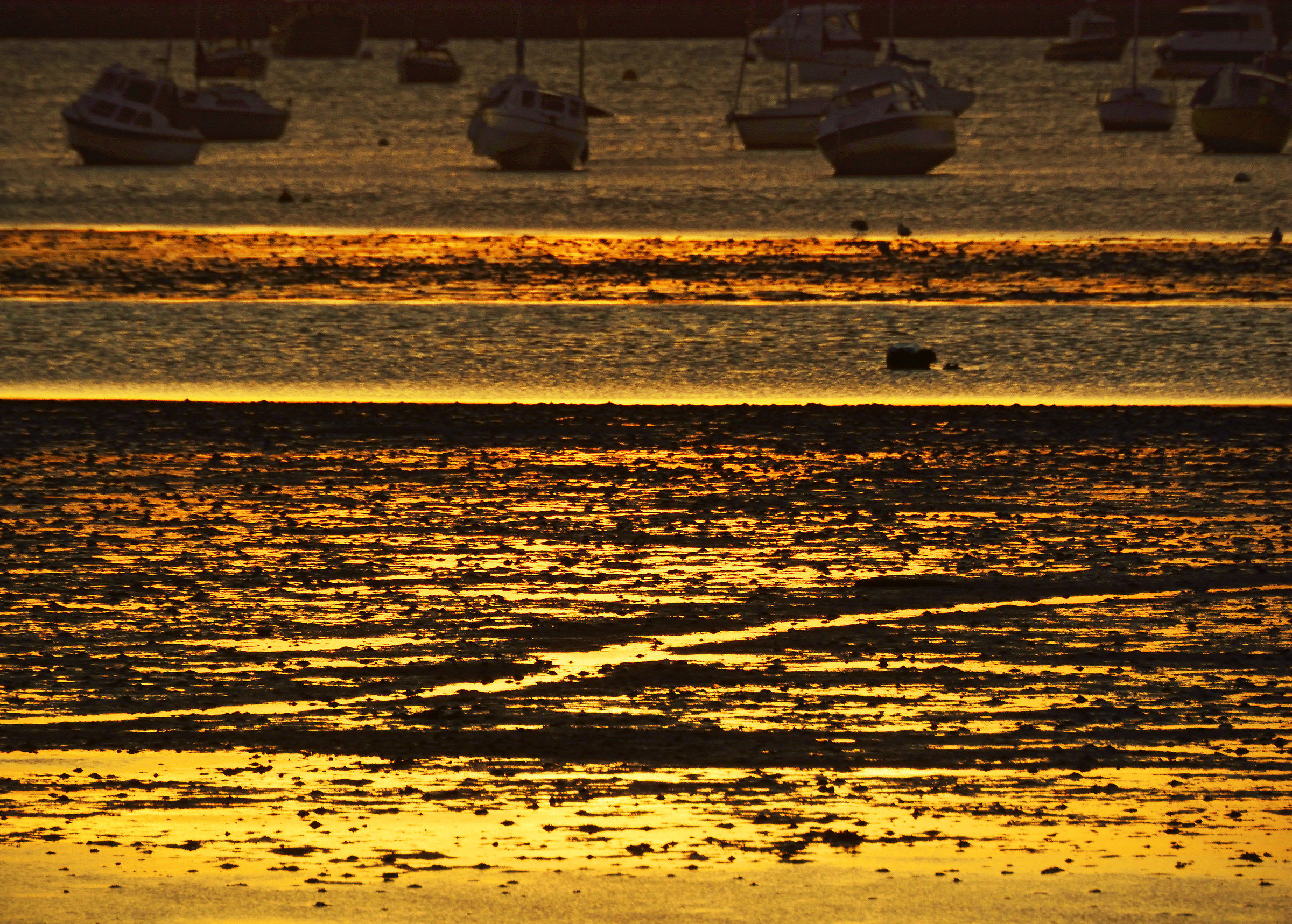 I oro fuso Mudflats ...