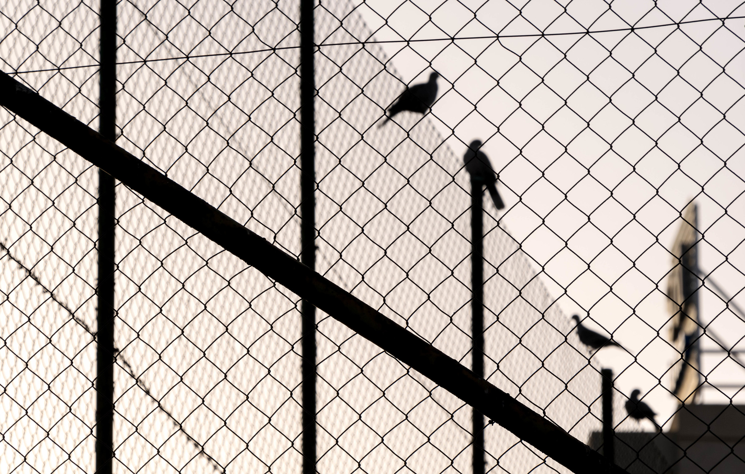 The Chainlink Fence And Beyond.....