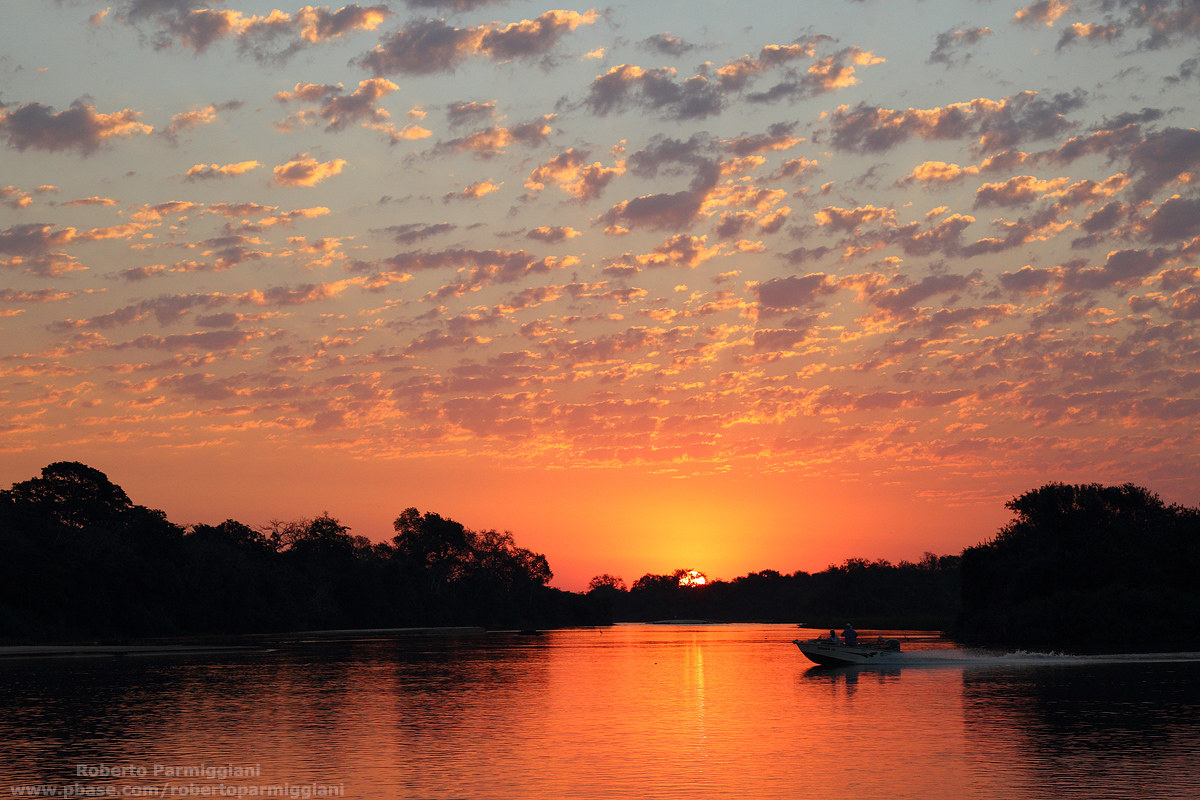 Tramonto nel pantanal