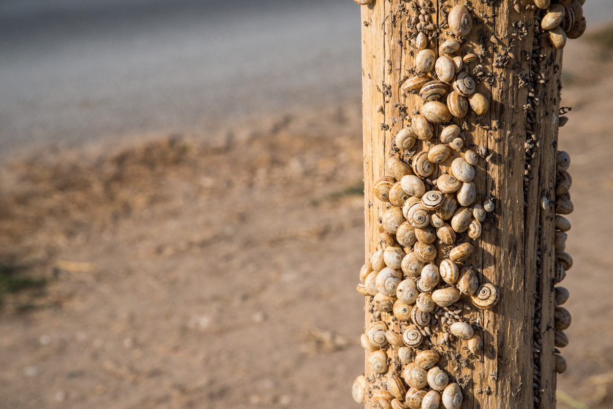 Attendendo la pioggia