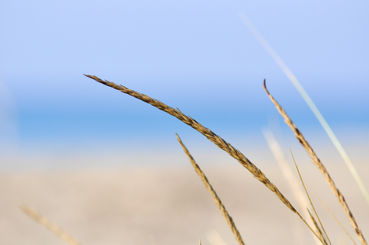 Guardando verso il mare