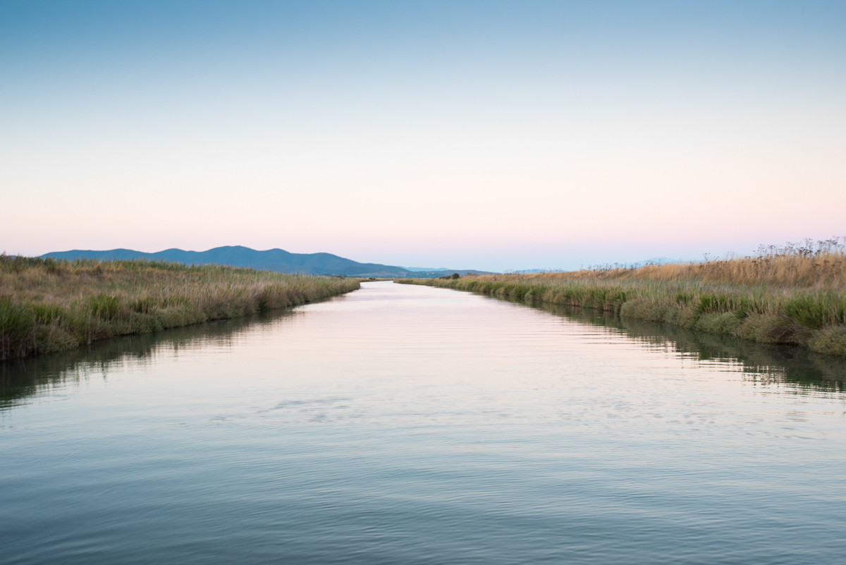 Canale - Riserva naturale Diaccia Botrona