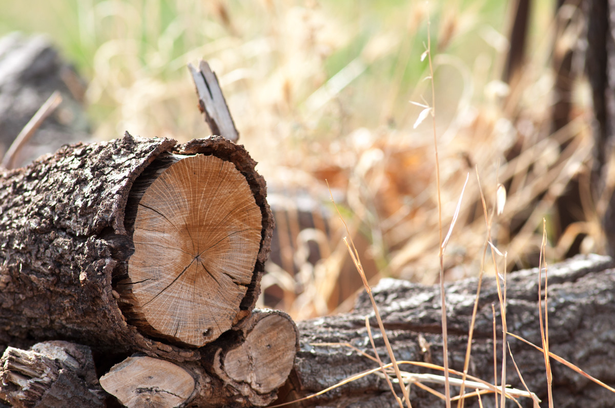 Elementi della natura