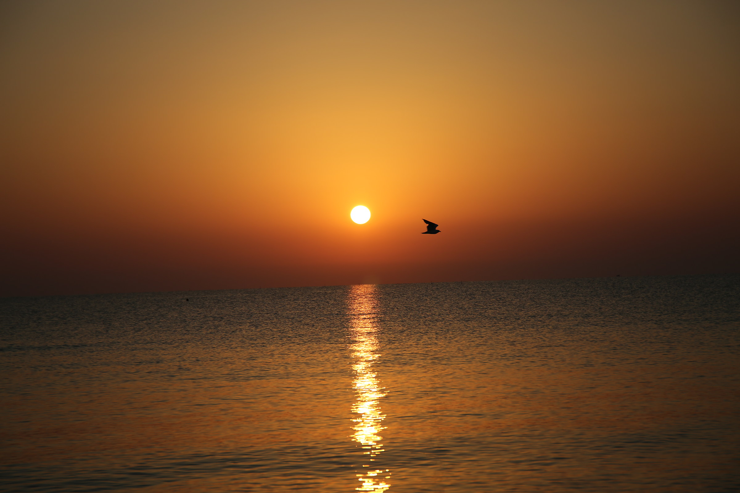 Alba Pineto Mare Abruzzo