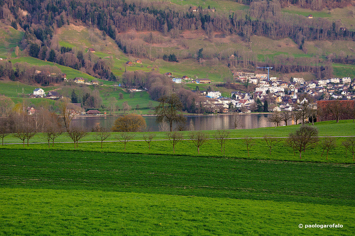 green Switzerland