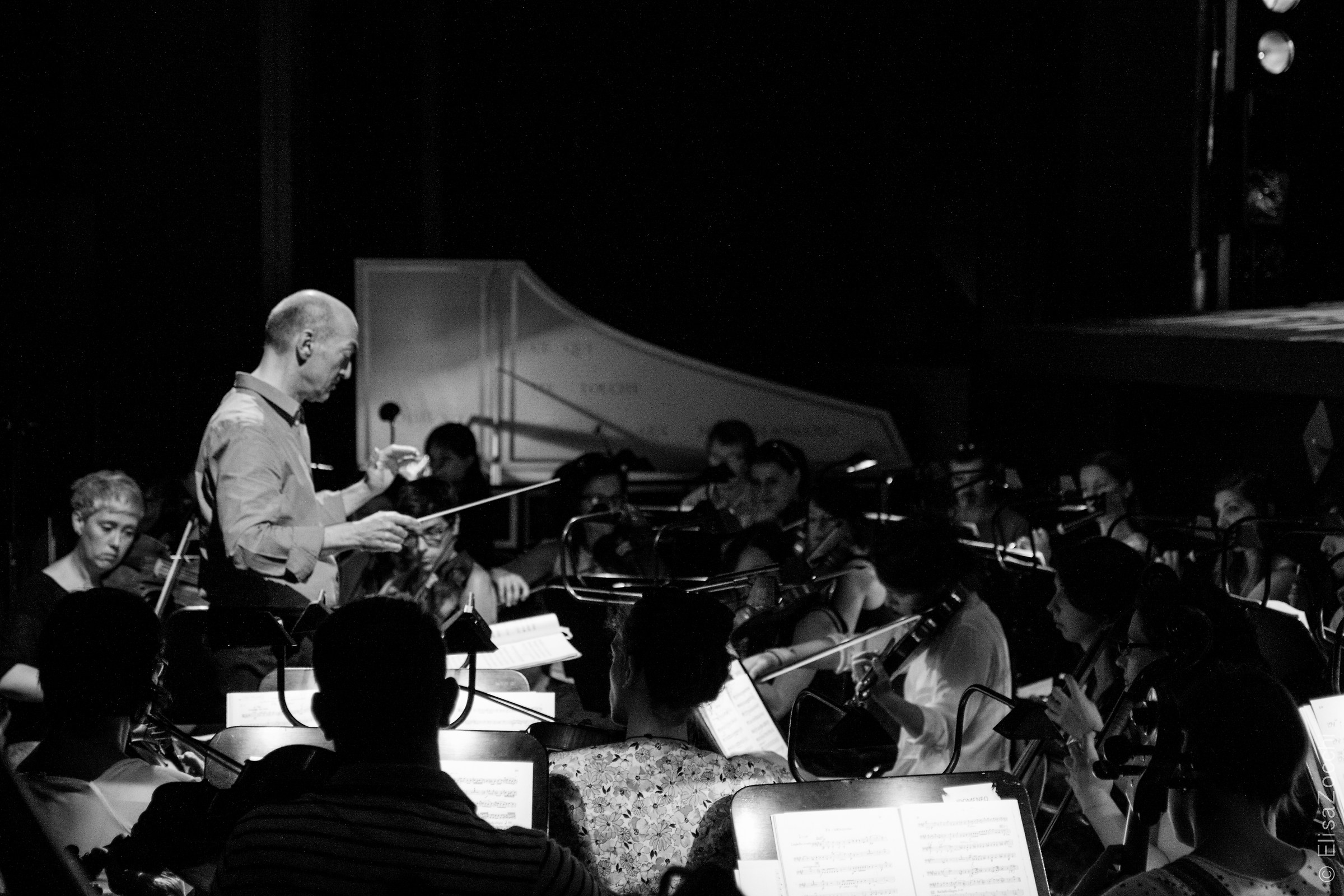 Academia Montis Regalis