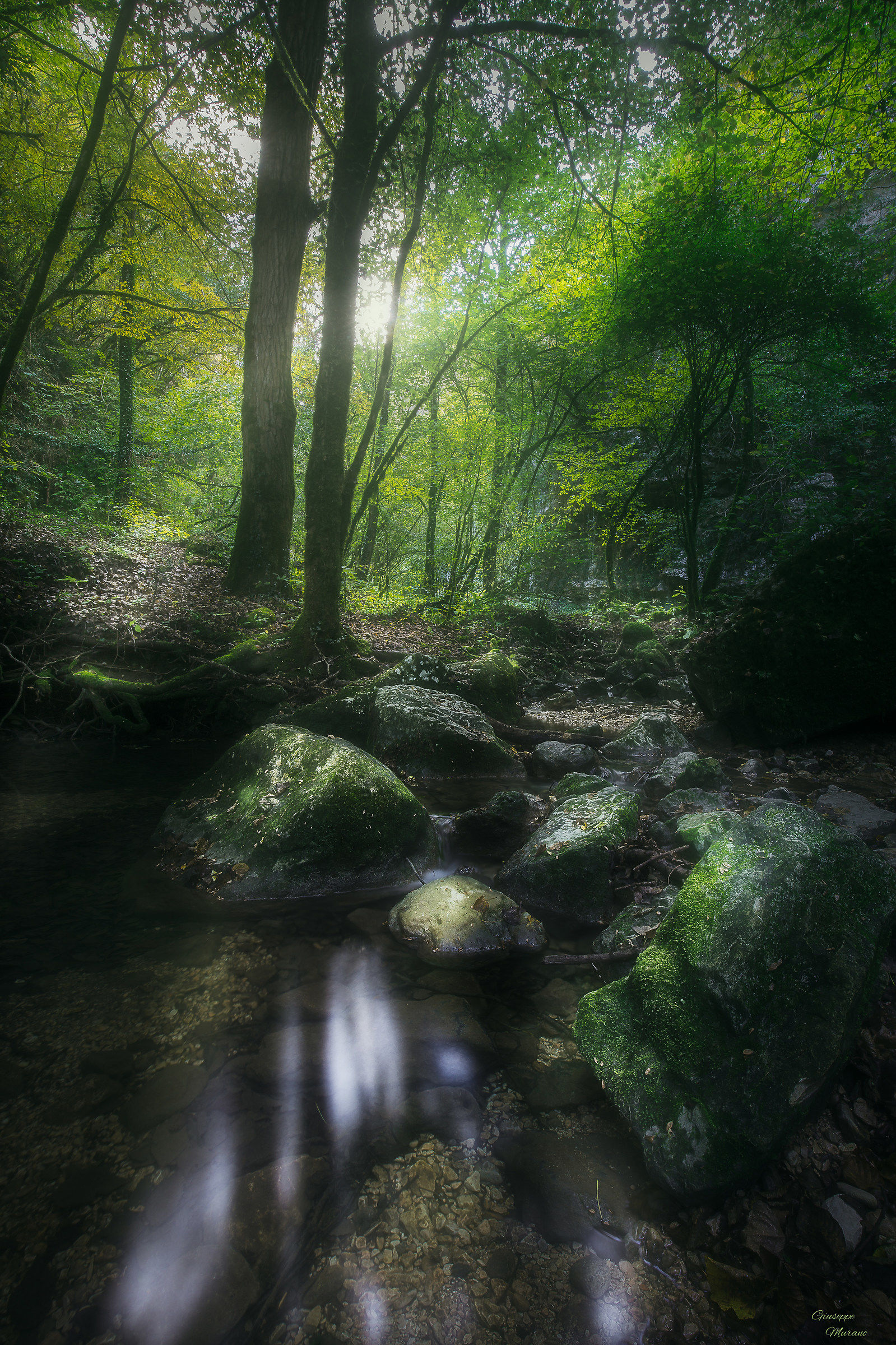 In silence between light and shadow ..