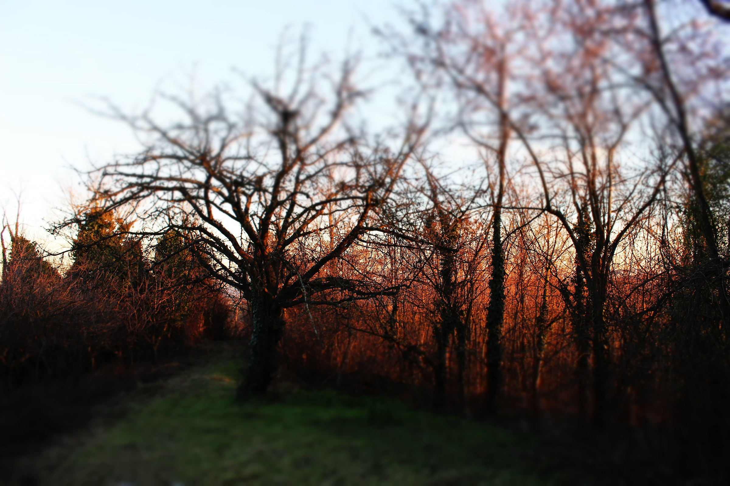 Moleto, Valle dei Frati