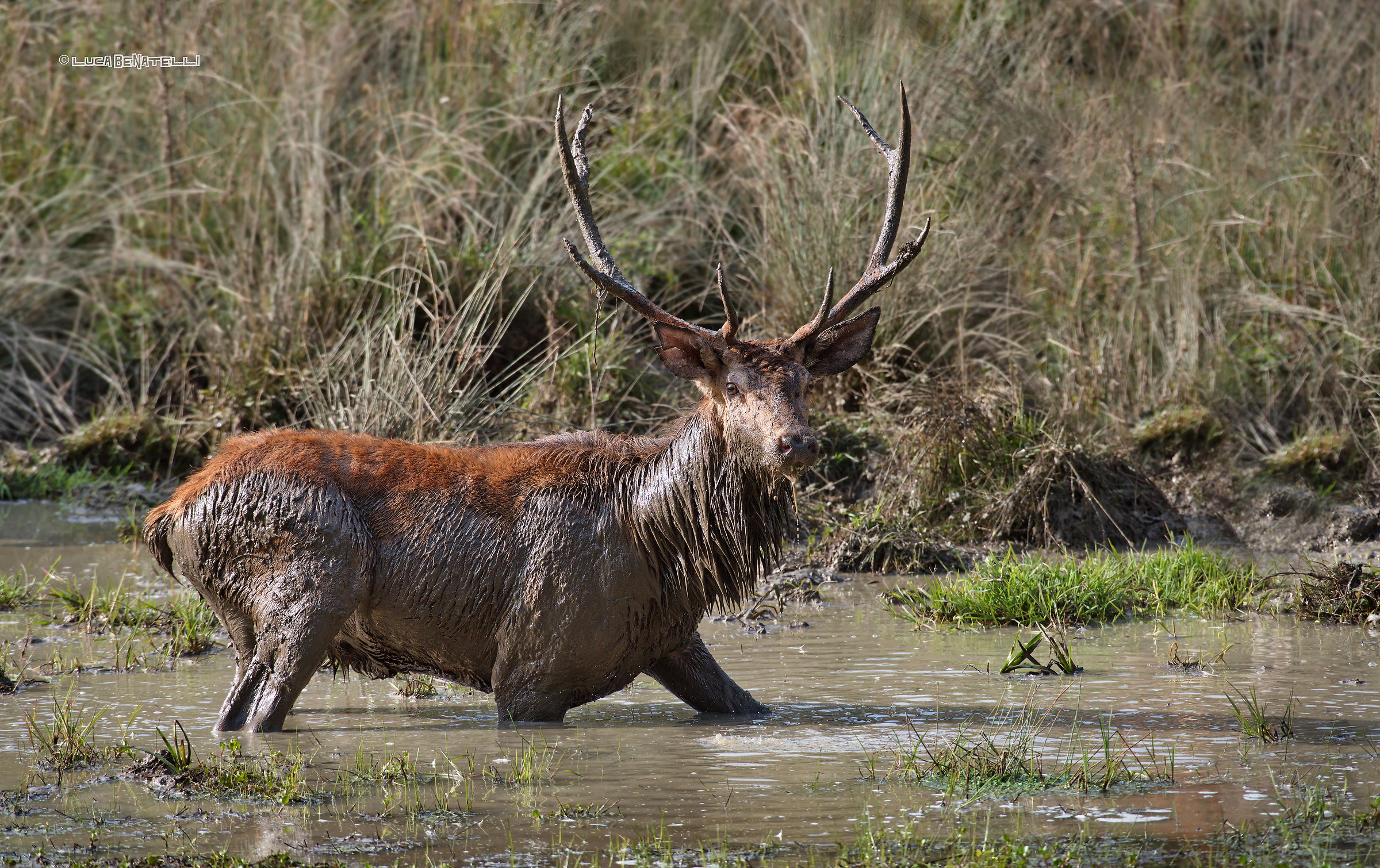 un bagnetto fresco per calmare i bollenti spiriti