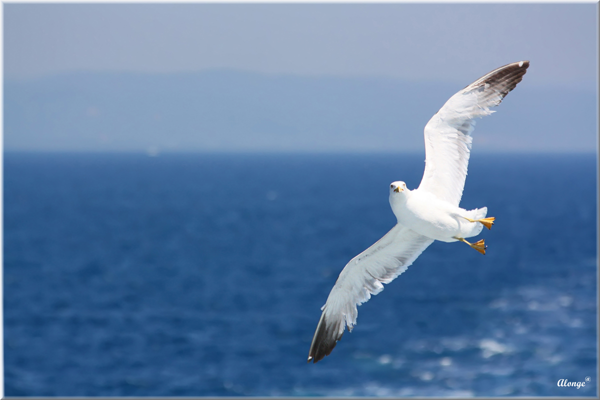 But what you looking at?