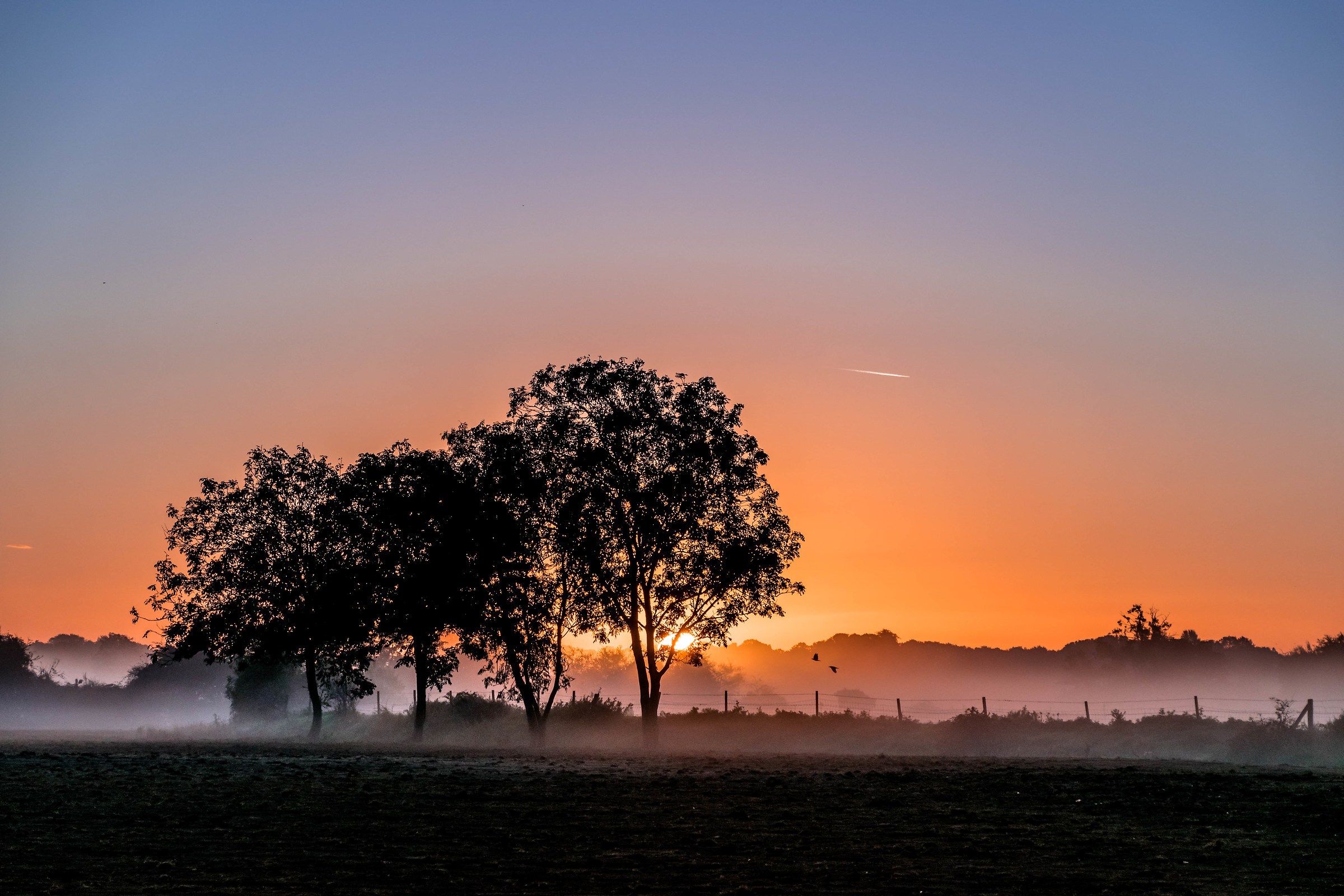 Morning Glow Above The Mist