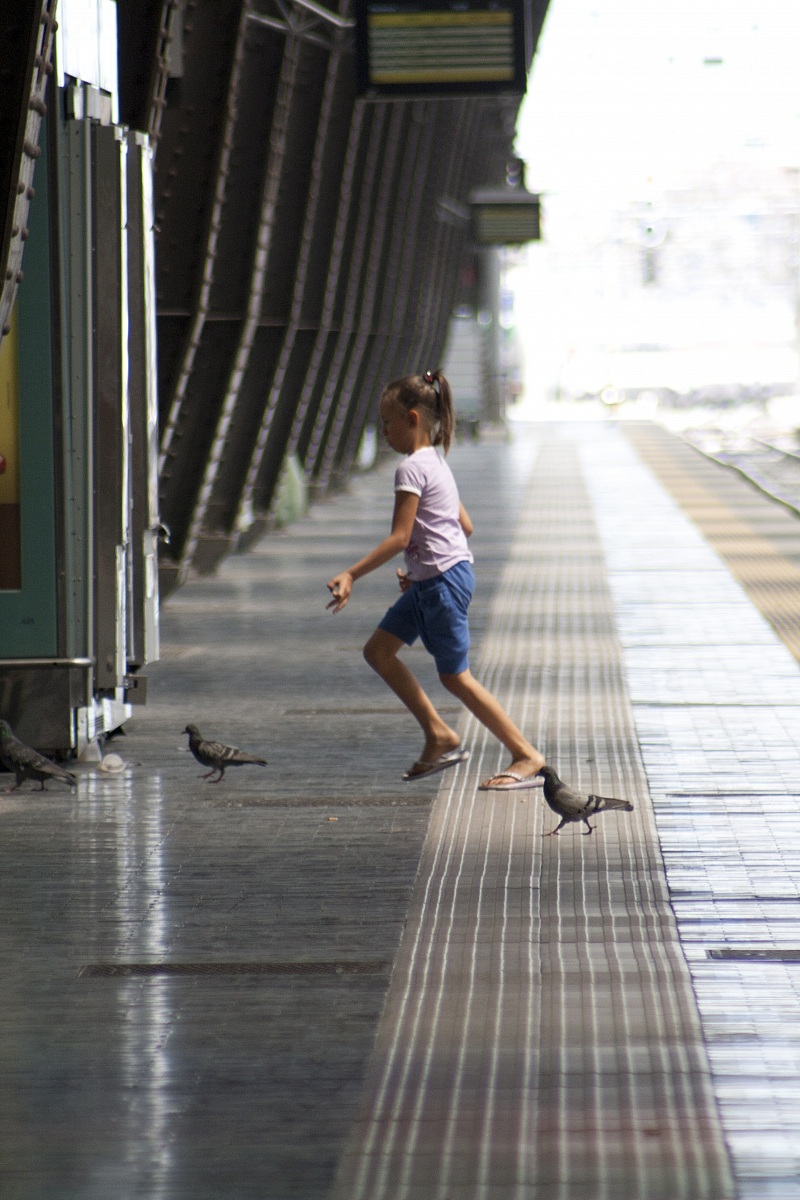 Free like a bird - Libera di volare