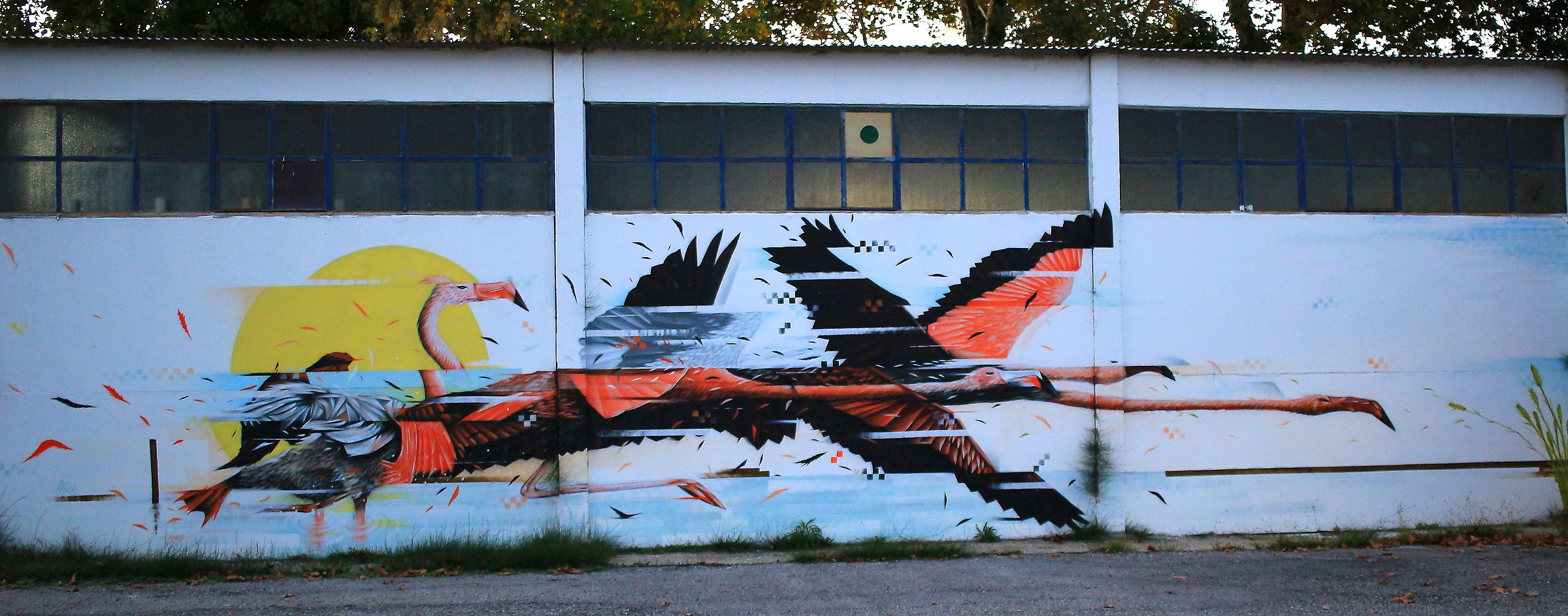 decomposed flamingos