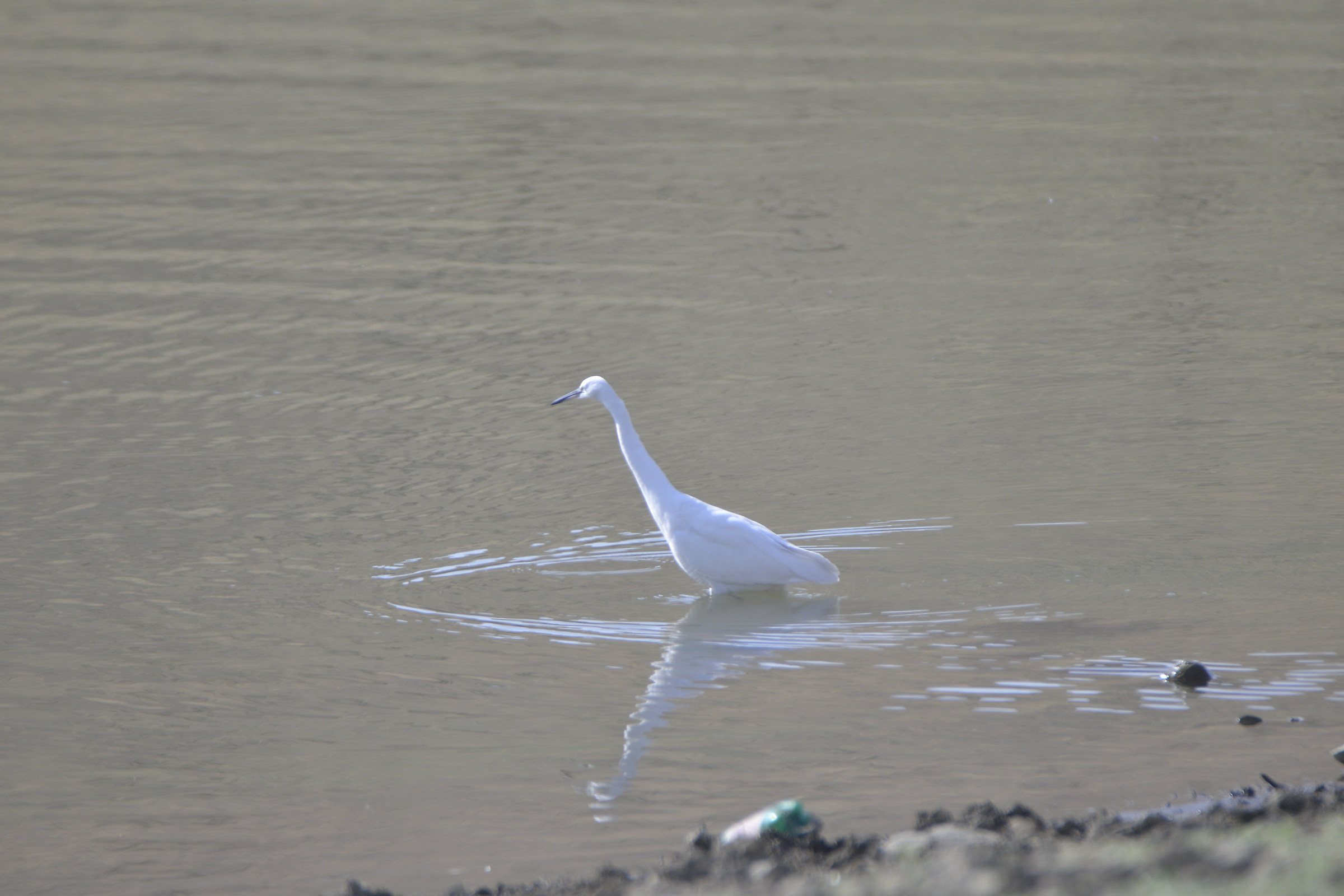 sanandaj . kuordestan . iran