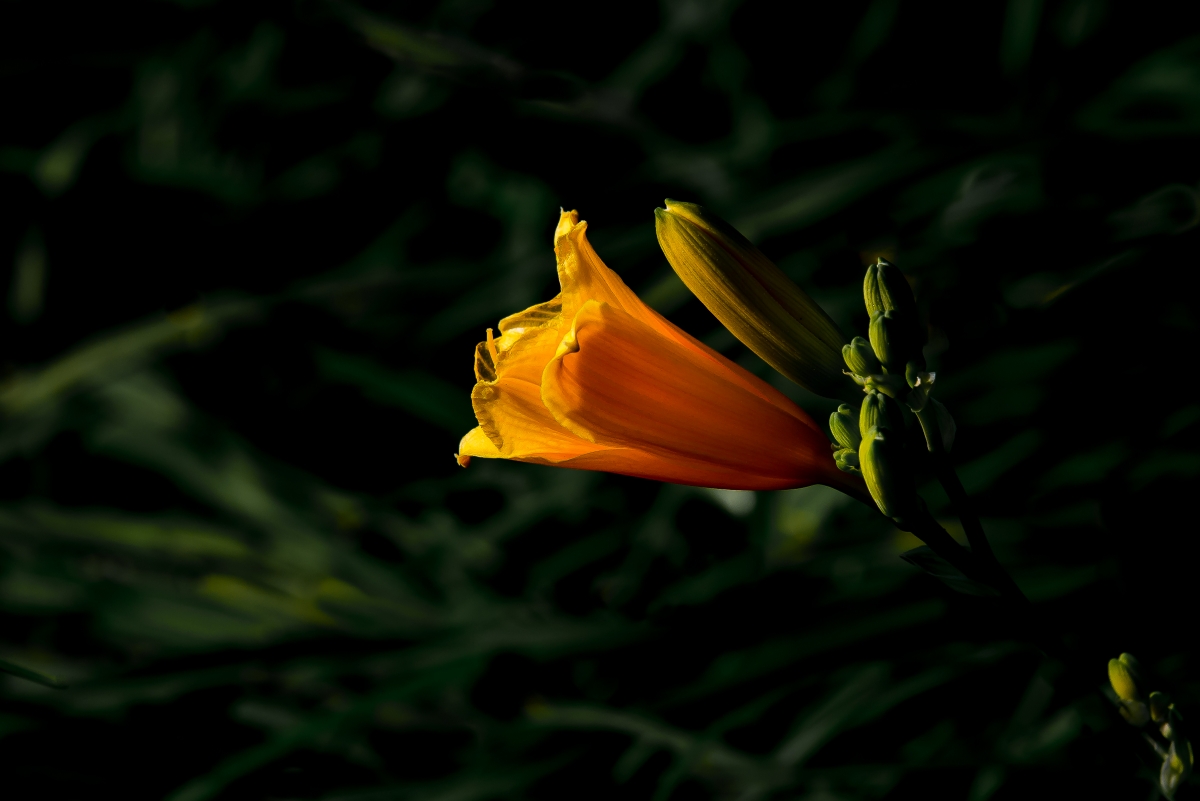 last light............