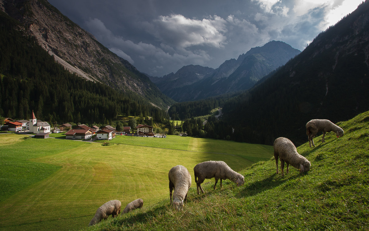 Pastures and diagonal ...