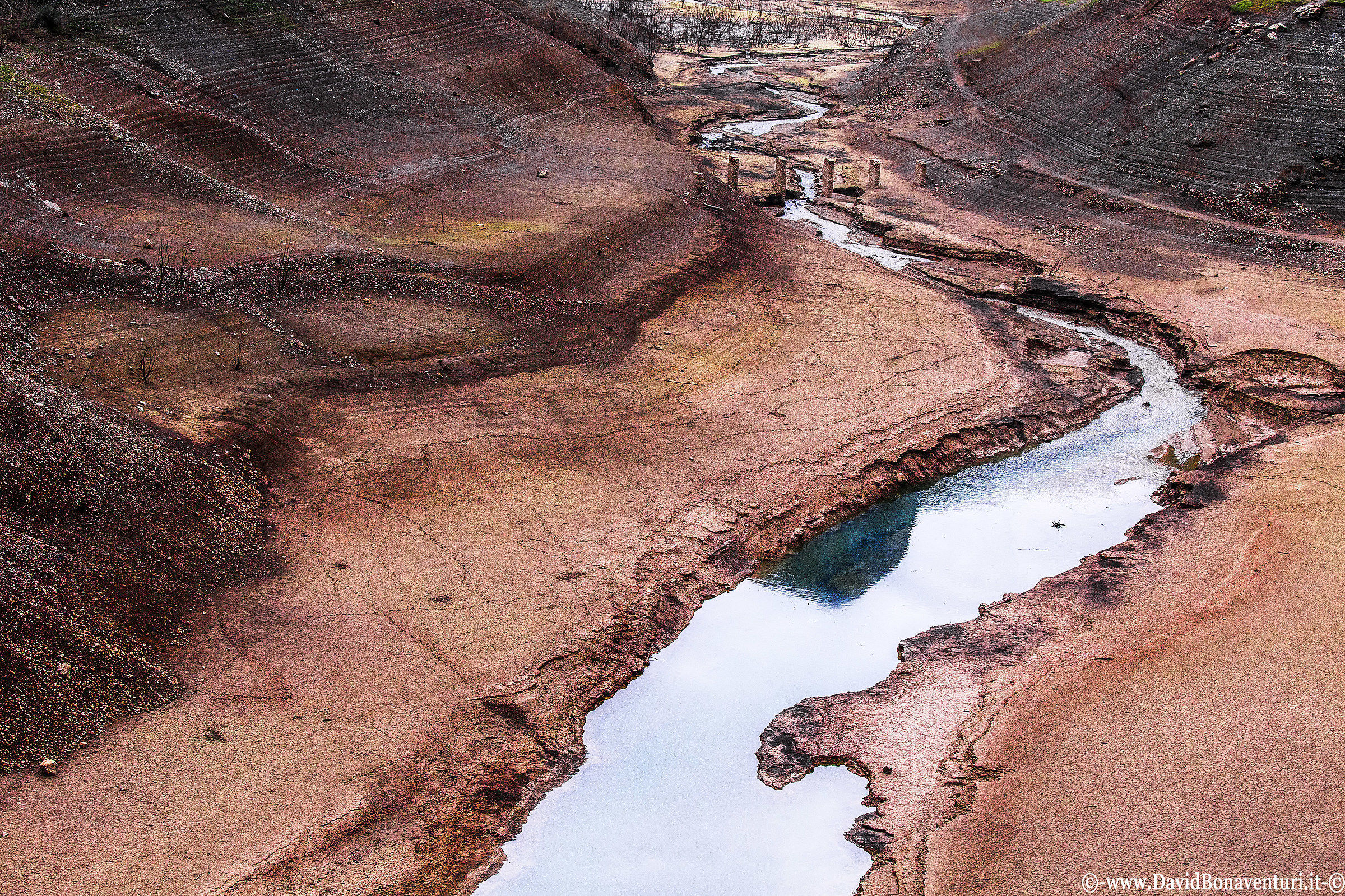 "The Valley of Lake Screeners"
