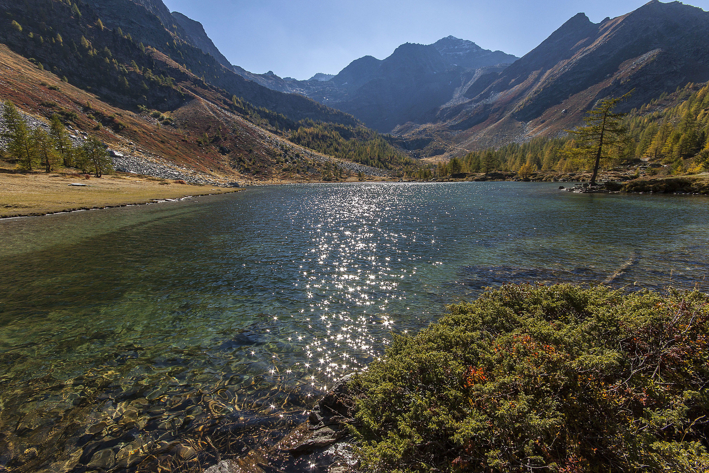 Still a bit of Arpy.