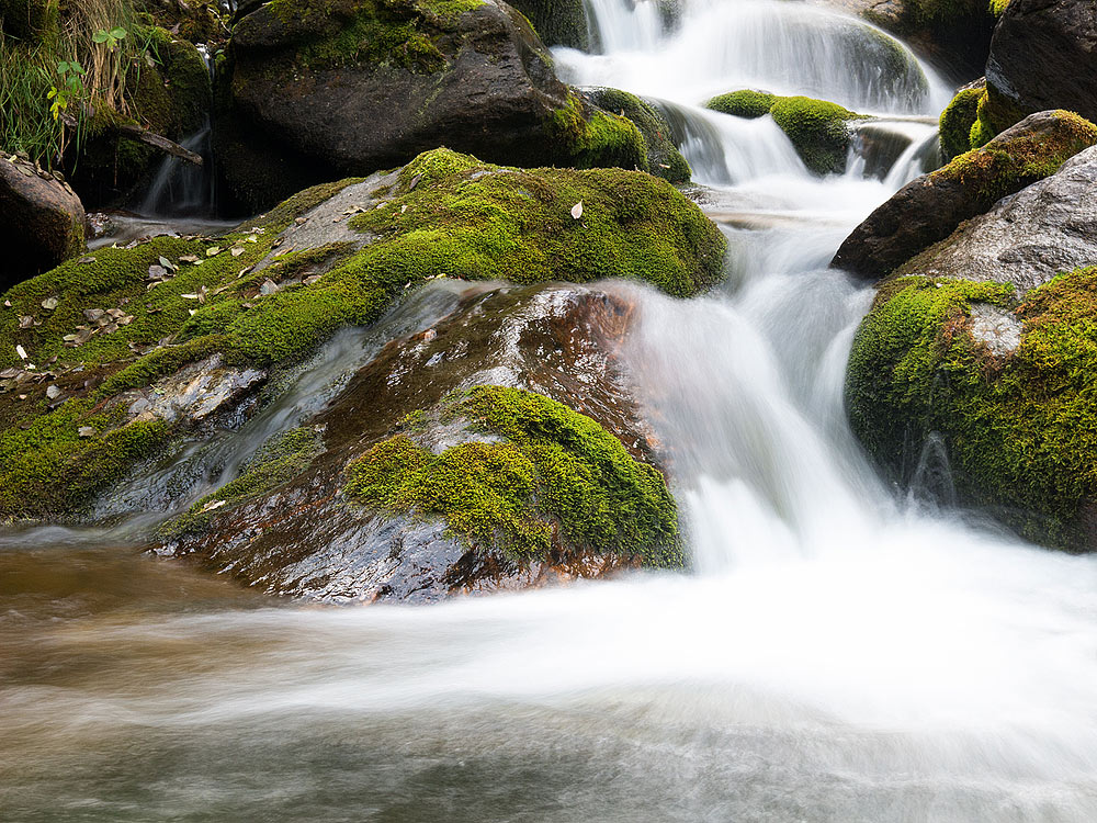 Creek in the woods 2