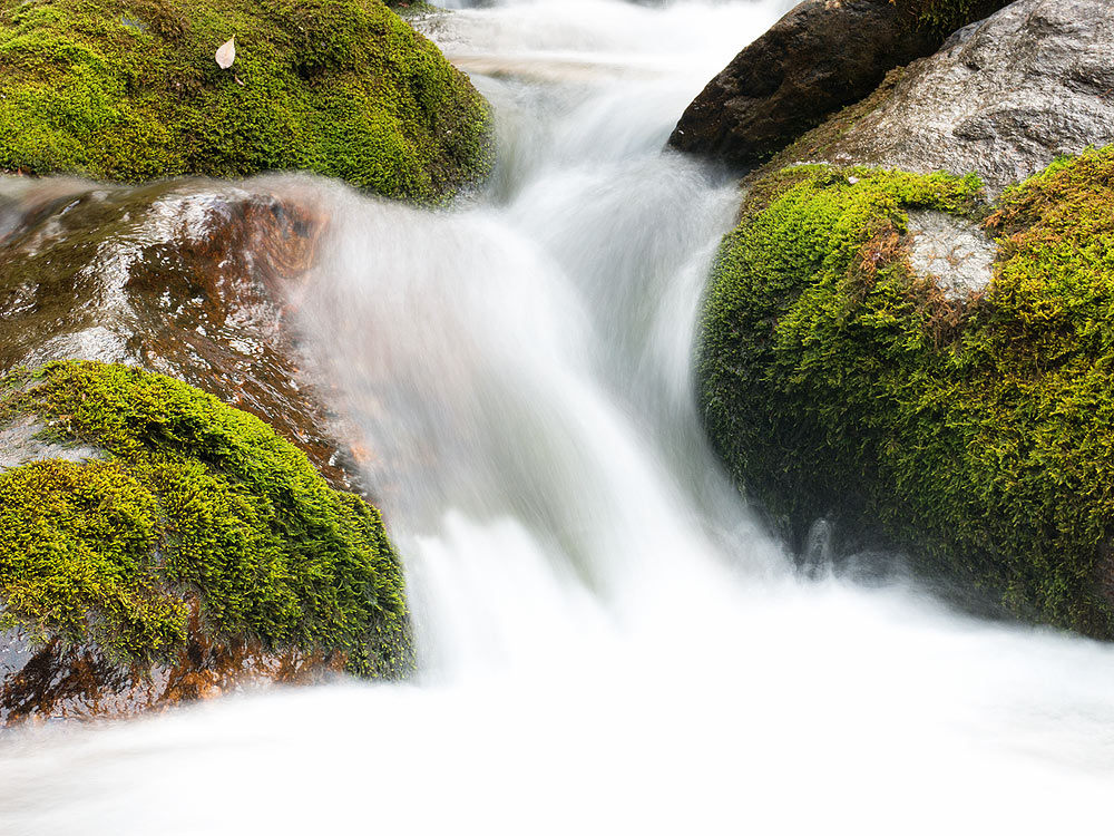 Creek in the woods 3