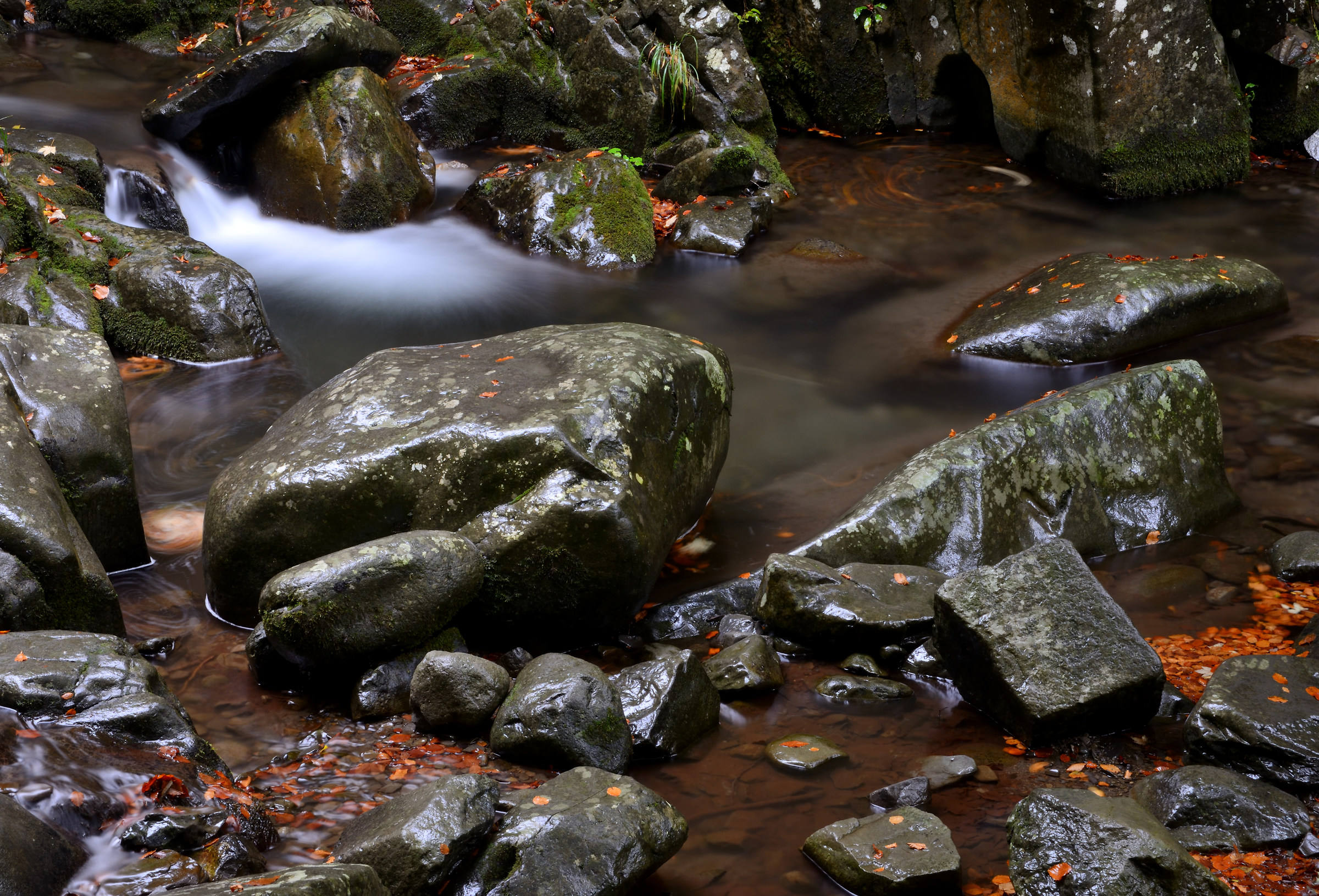 Quando l'acqua si tinge di rosso