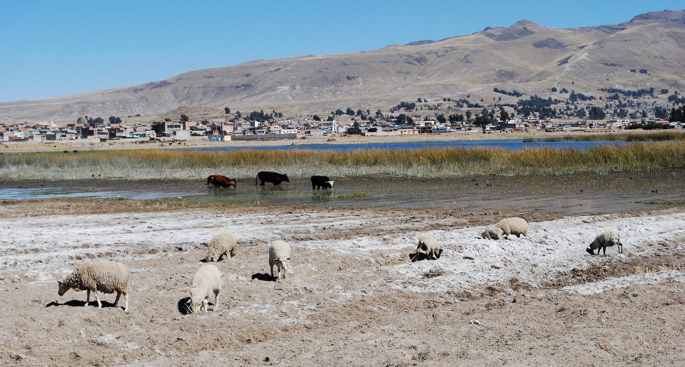 Peru / Directions Puno-Chivay