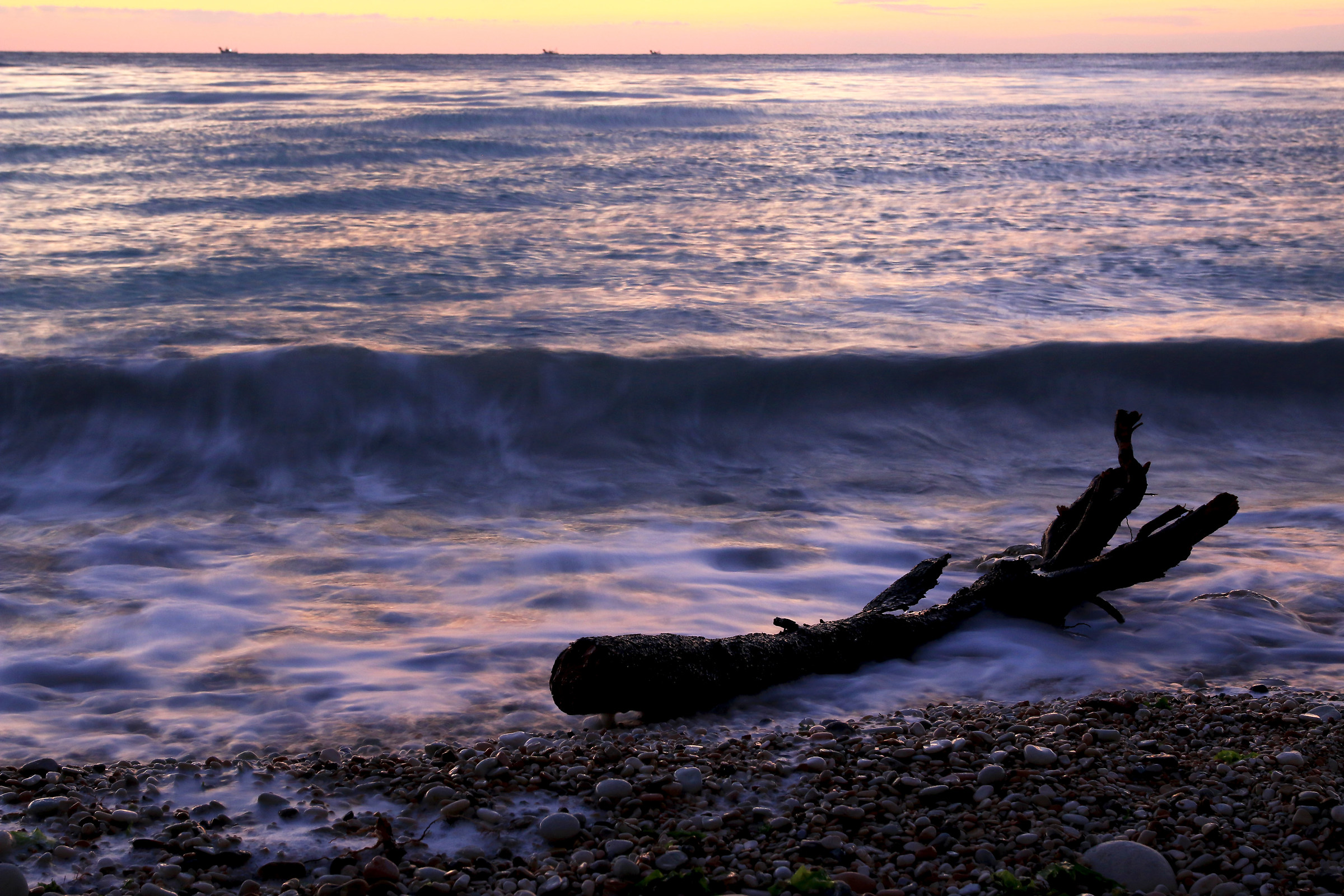 viaggiatore da chissà dove