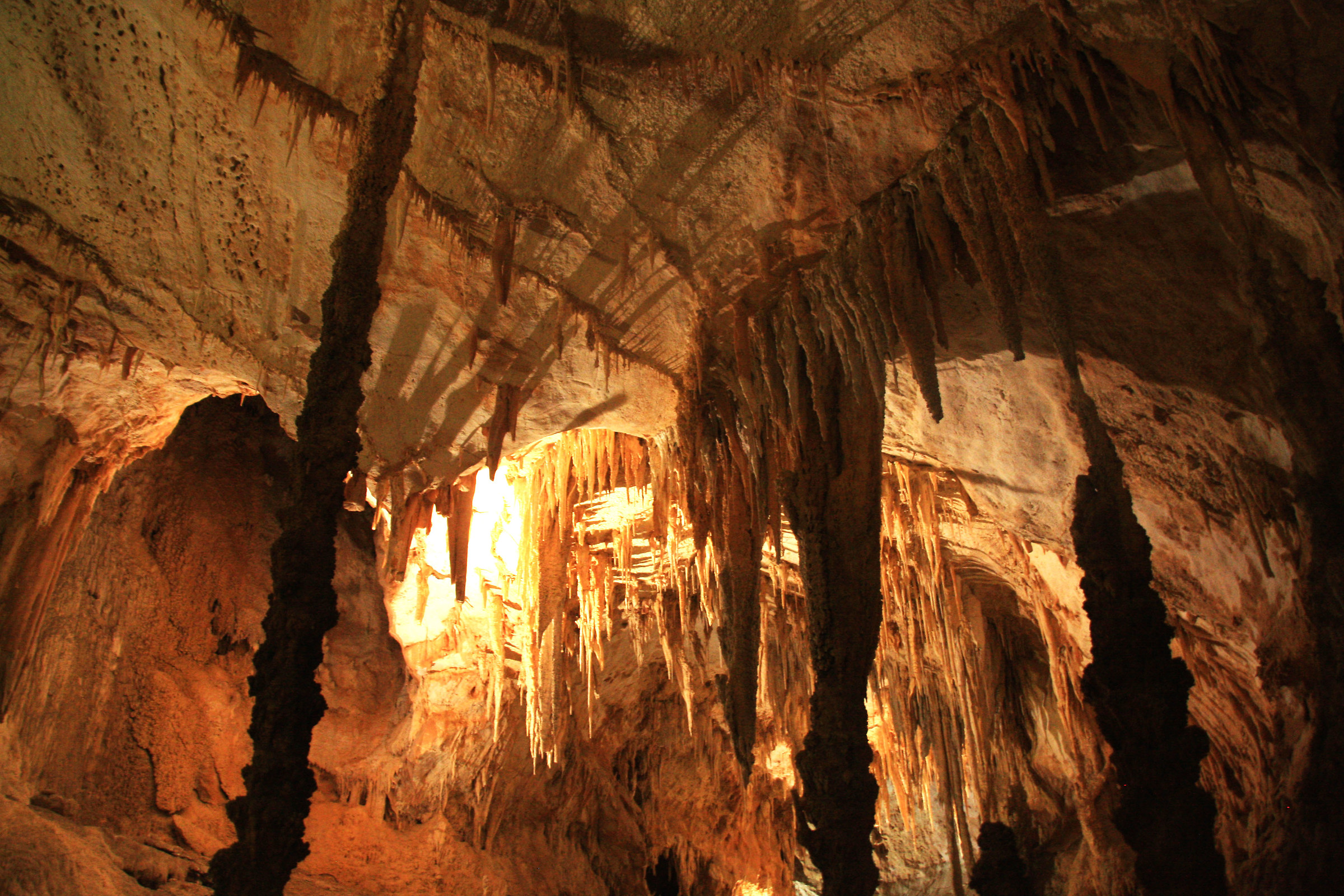 Grotta del Fico - Golfo di Orosei