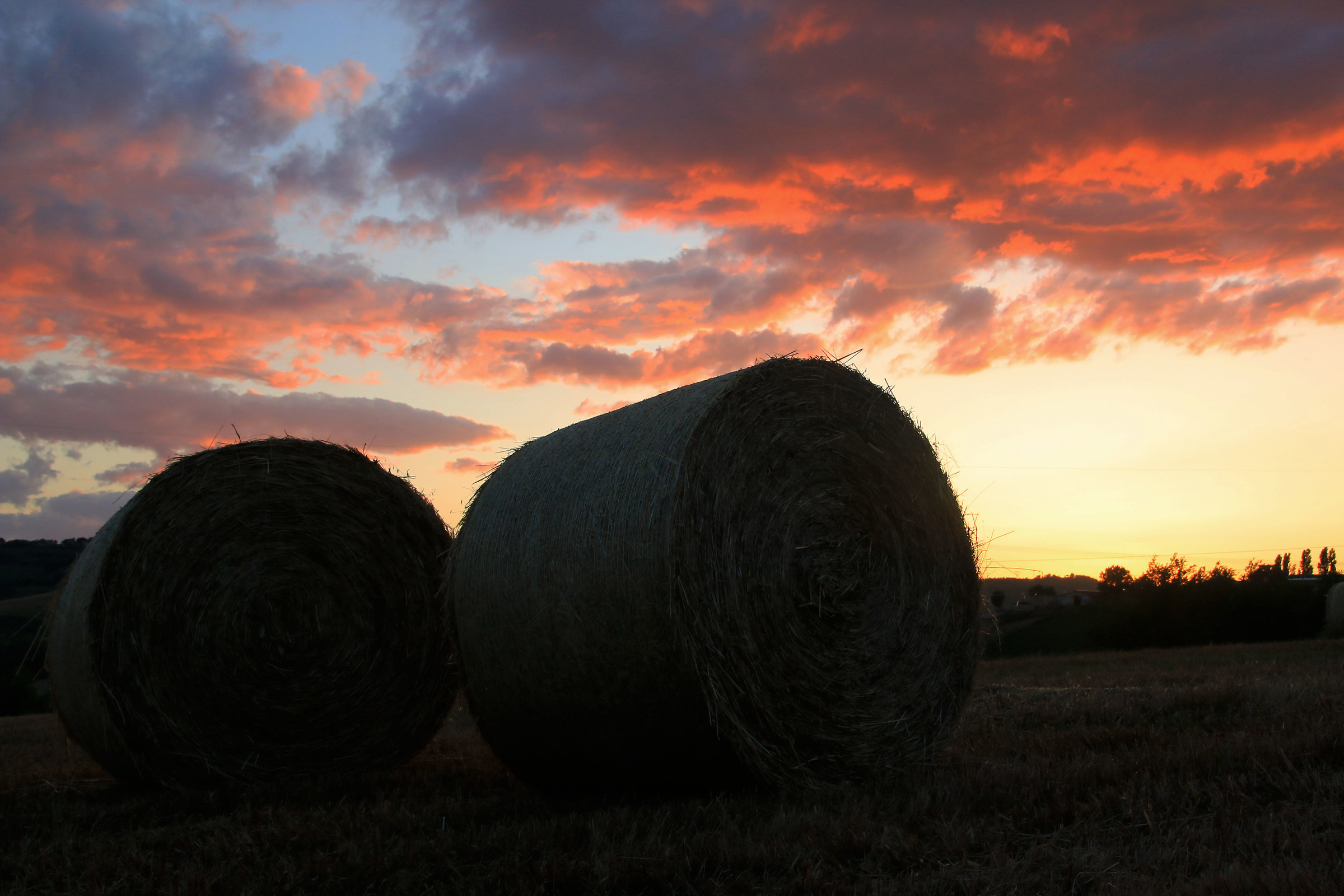 balle di fieno abbandonate al tramonto
