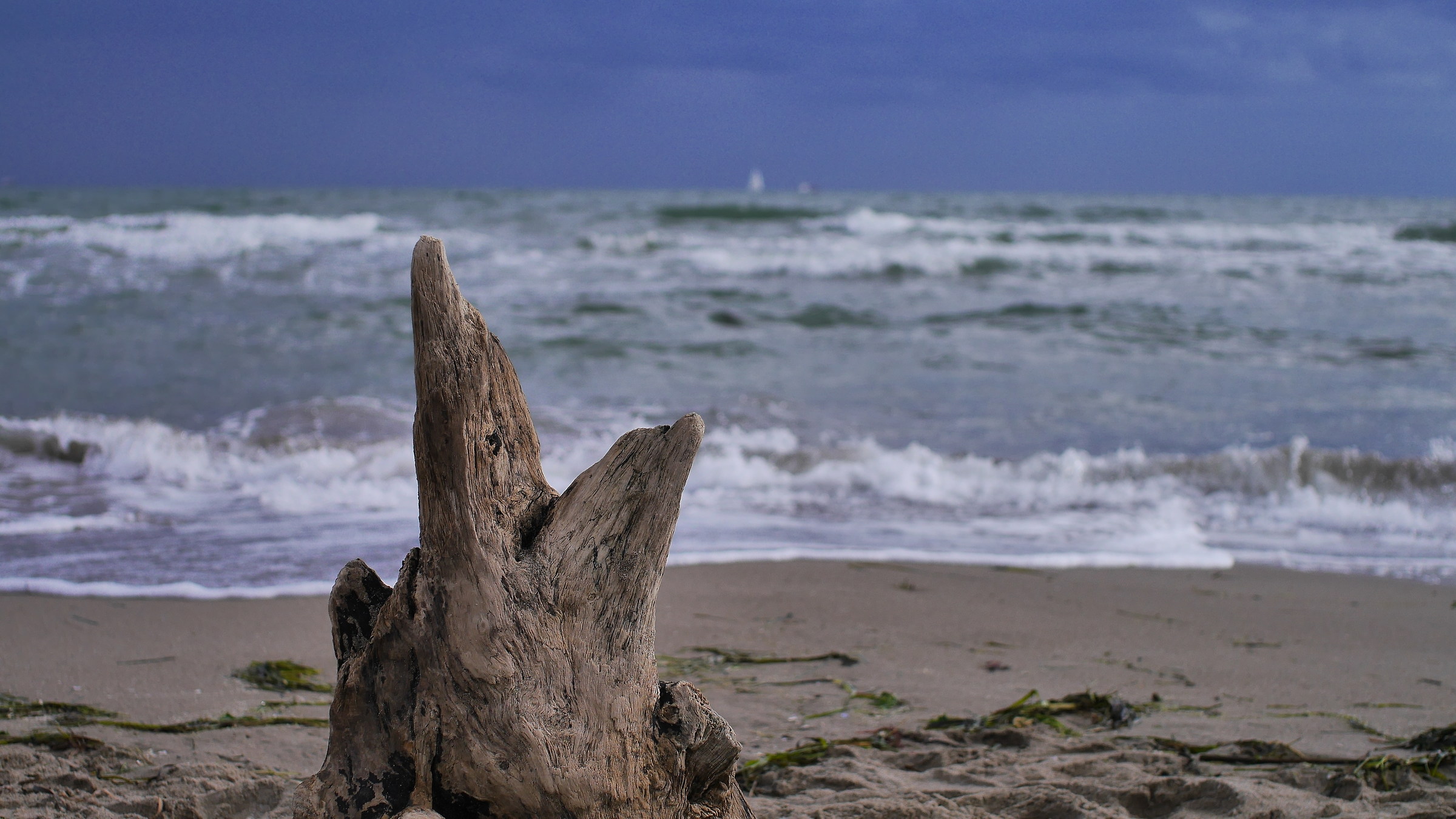 Mare  in burrasca  a Sottomarina